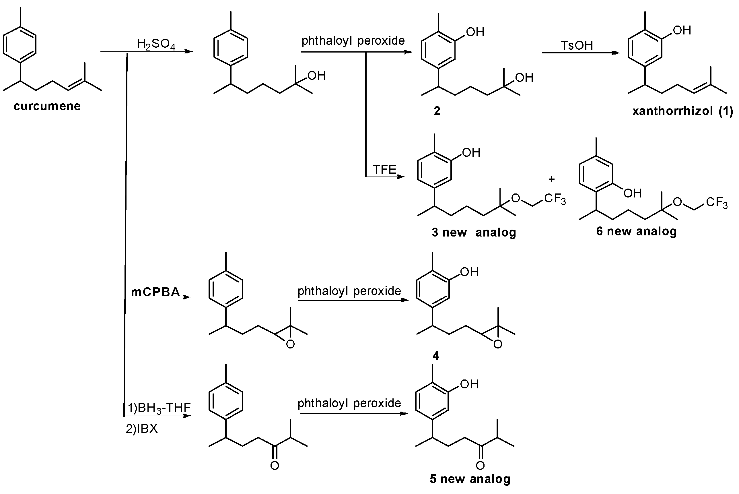 Antioxidants 08 00065 sch001