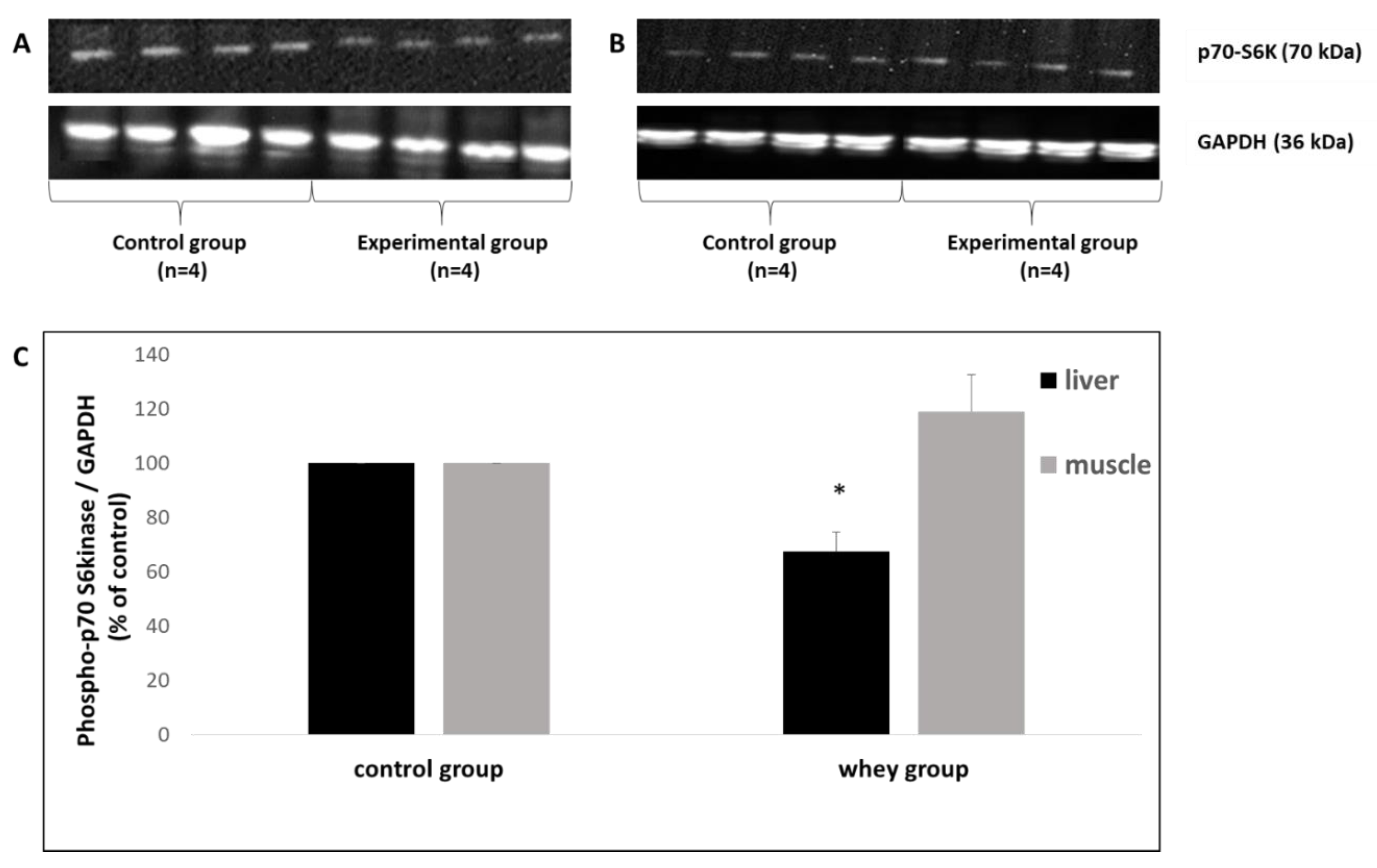 Antioxidants 08 00071 g004