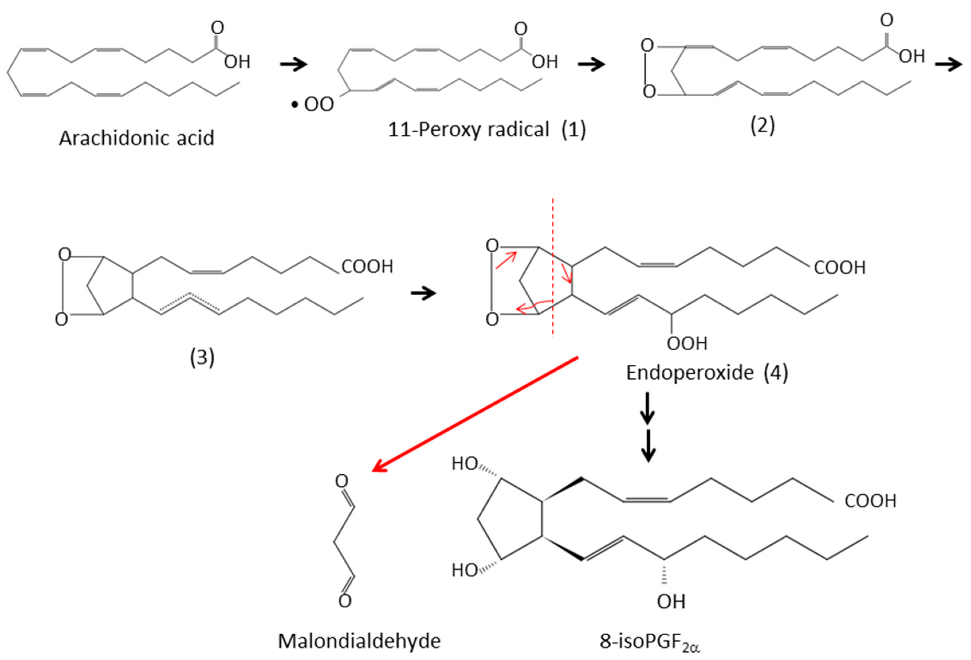 Antioxidants 08 00072 g003