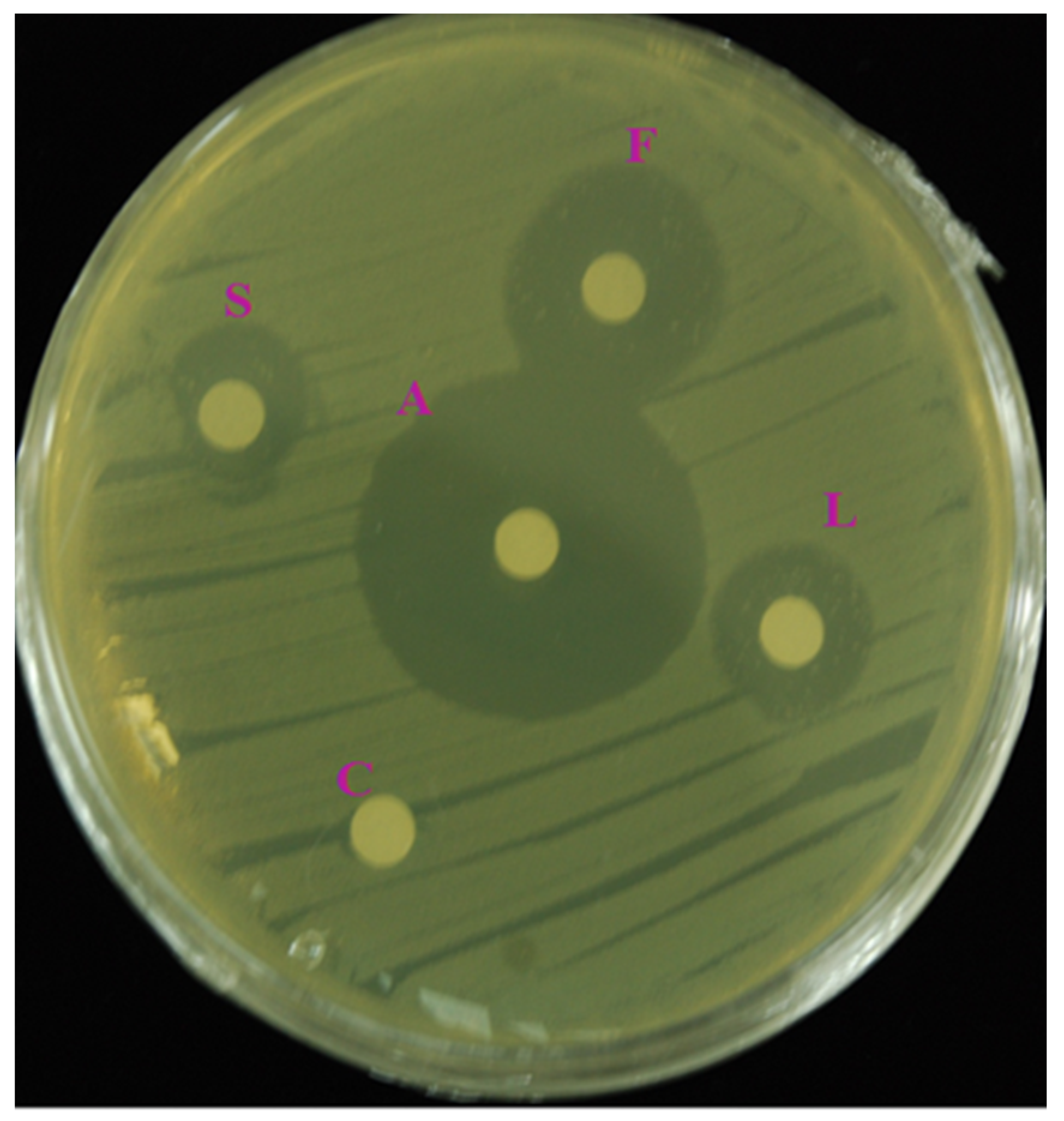 Antioxidants 08 00075 g001 Antioxidants 08 00075 g001