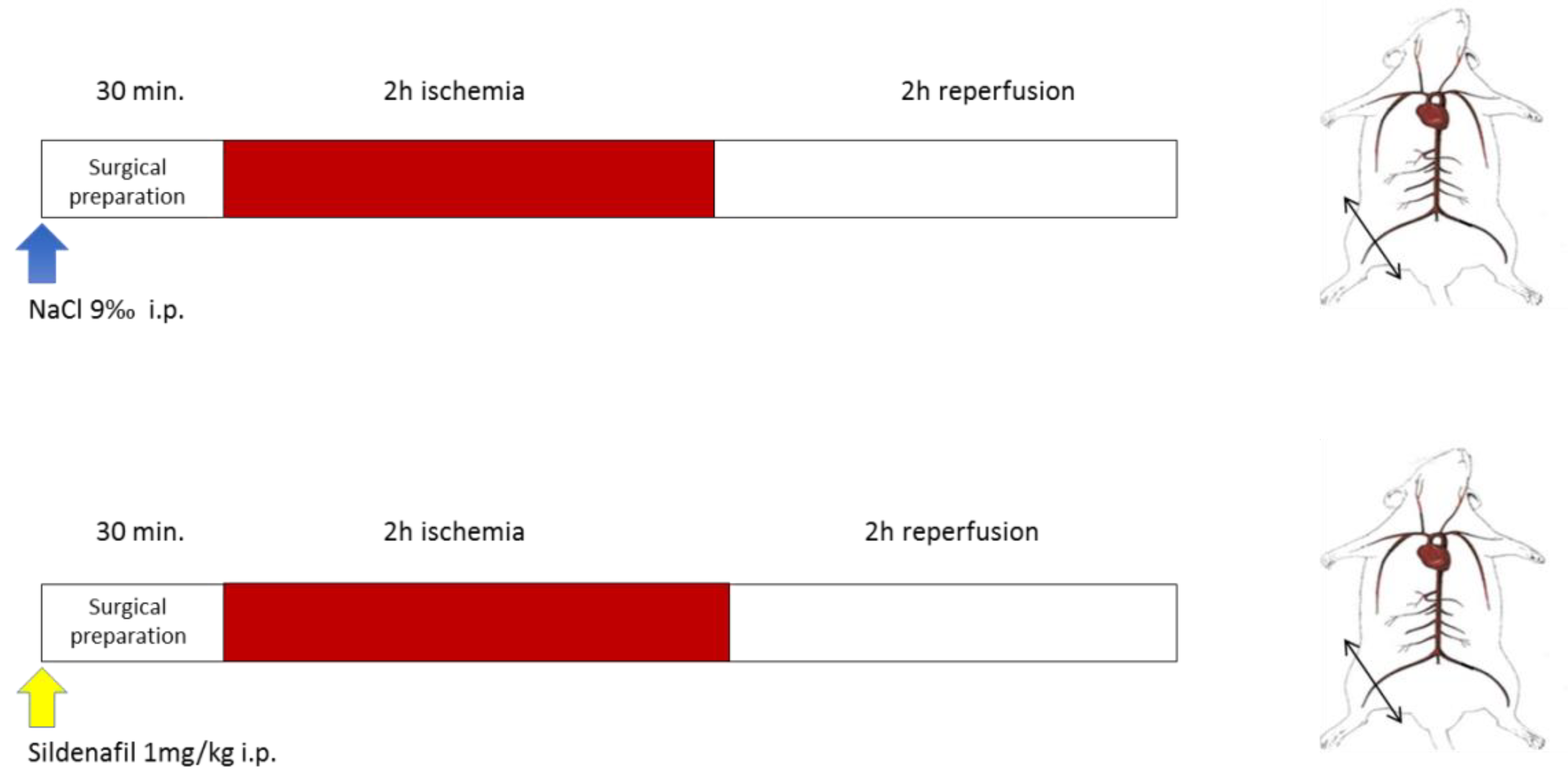 Antioxidants 08 00093 g001