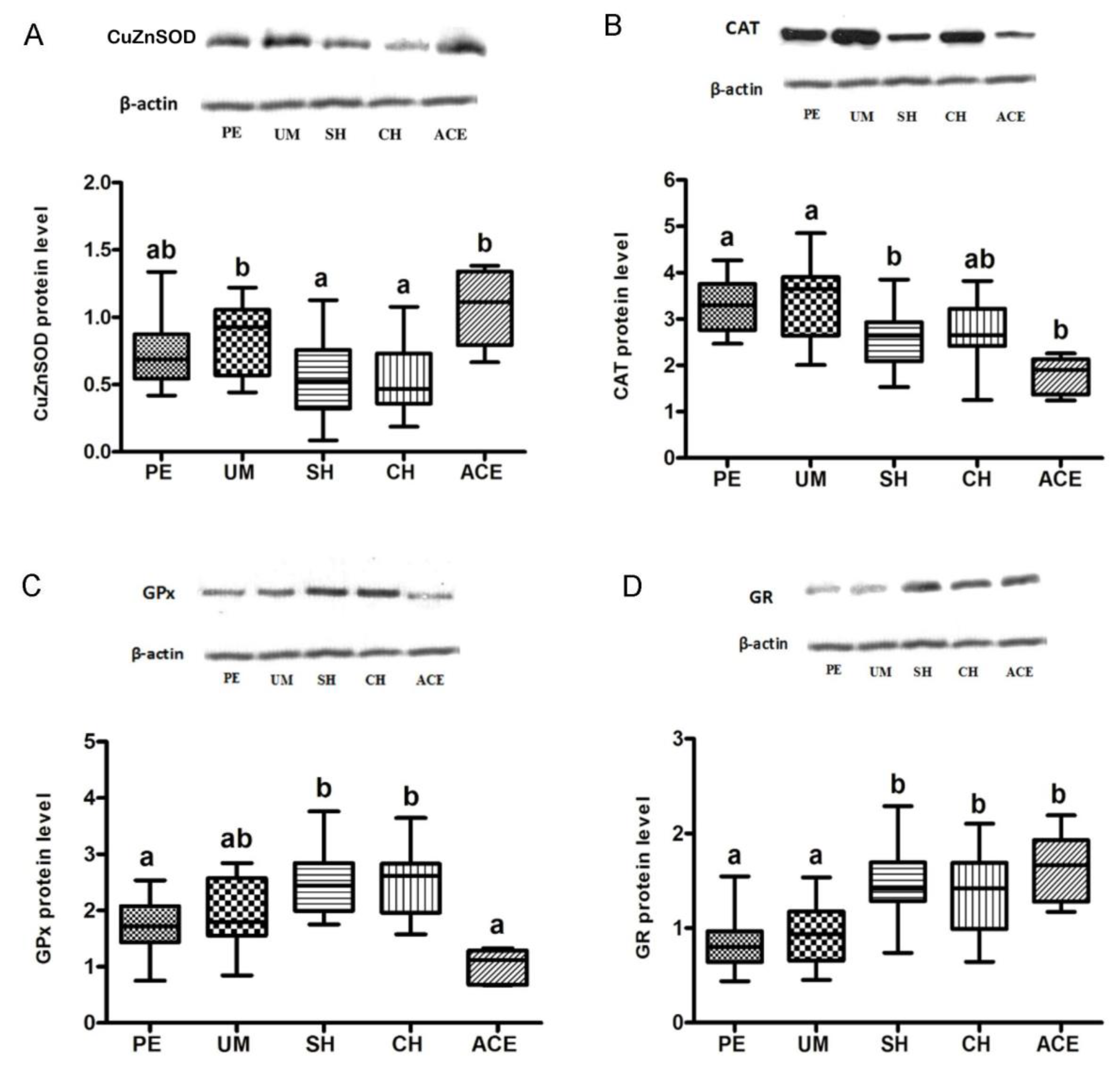 Antioxidants 08 00097 g001