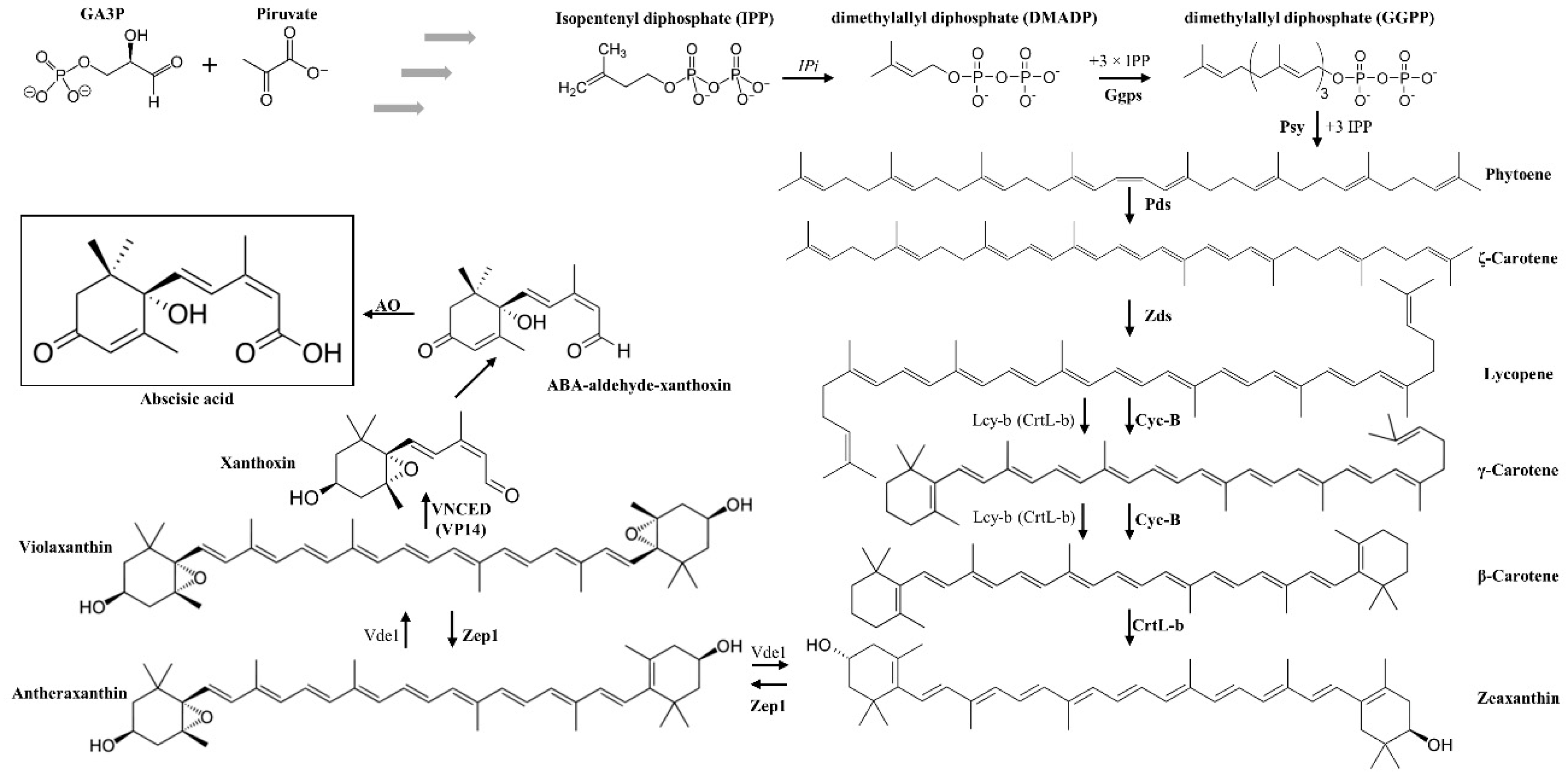 Antioxidants 08 00104 g001 Antioxidants 08 00104 g001