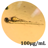 Antioxidants 08 00108 i001 Antioxidants 08 00108 i001