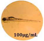 Antioxidants 08 00108 i002 Antioxidants 08 00108 i002