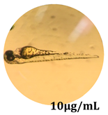 Antioxidants 08 00108 i004 Antioxidants 08 00108 i004