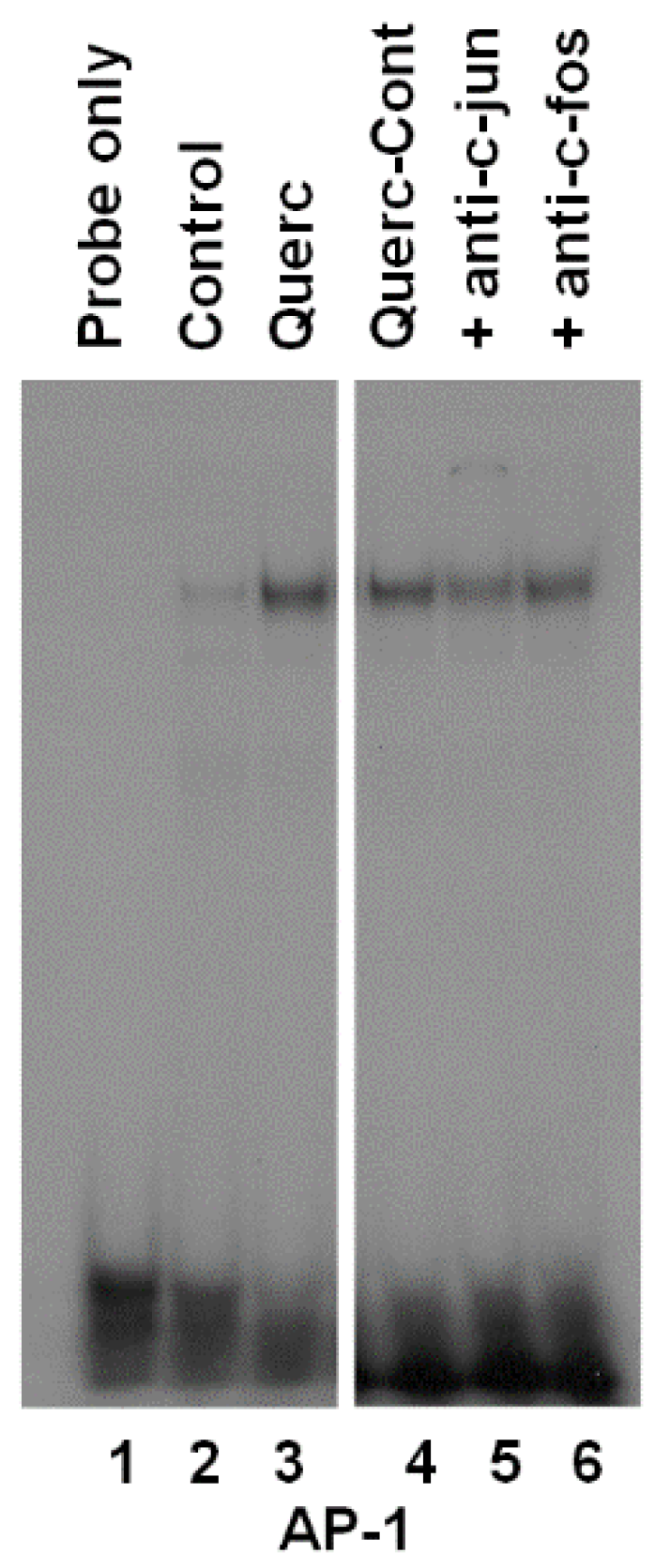 Antioxidants 08 00112 g003