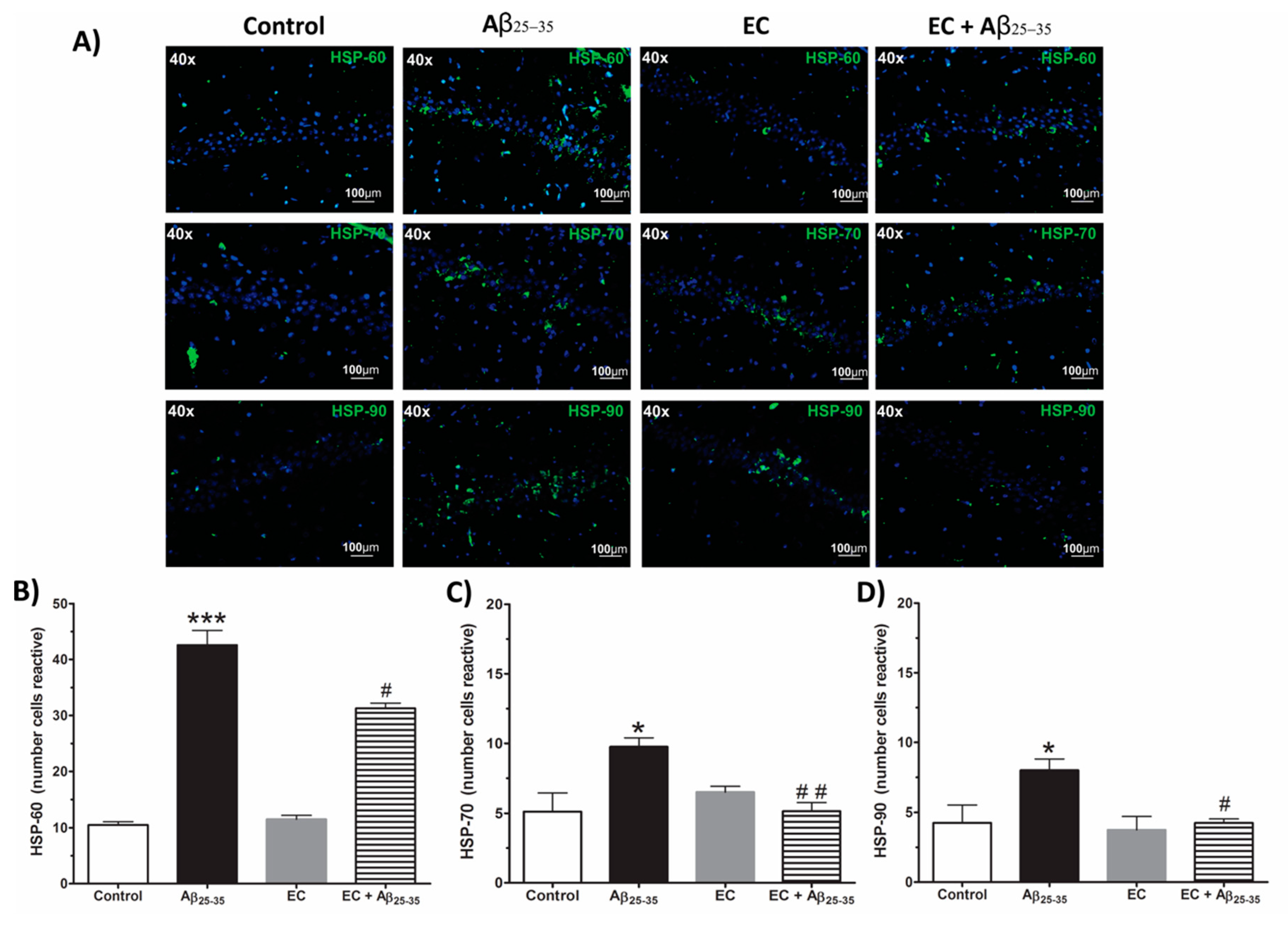 Antioxidants 08 00113 g004