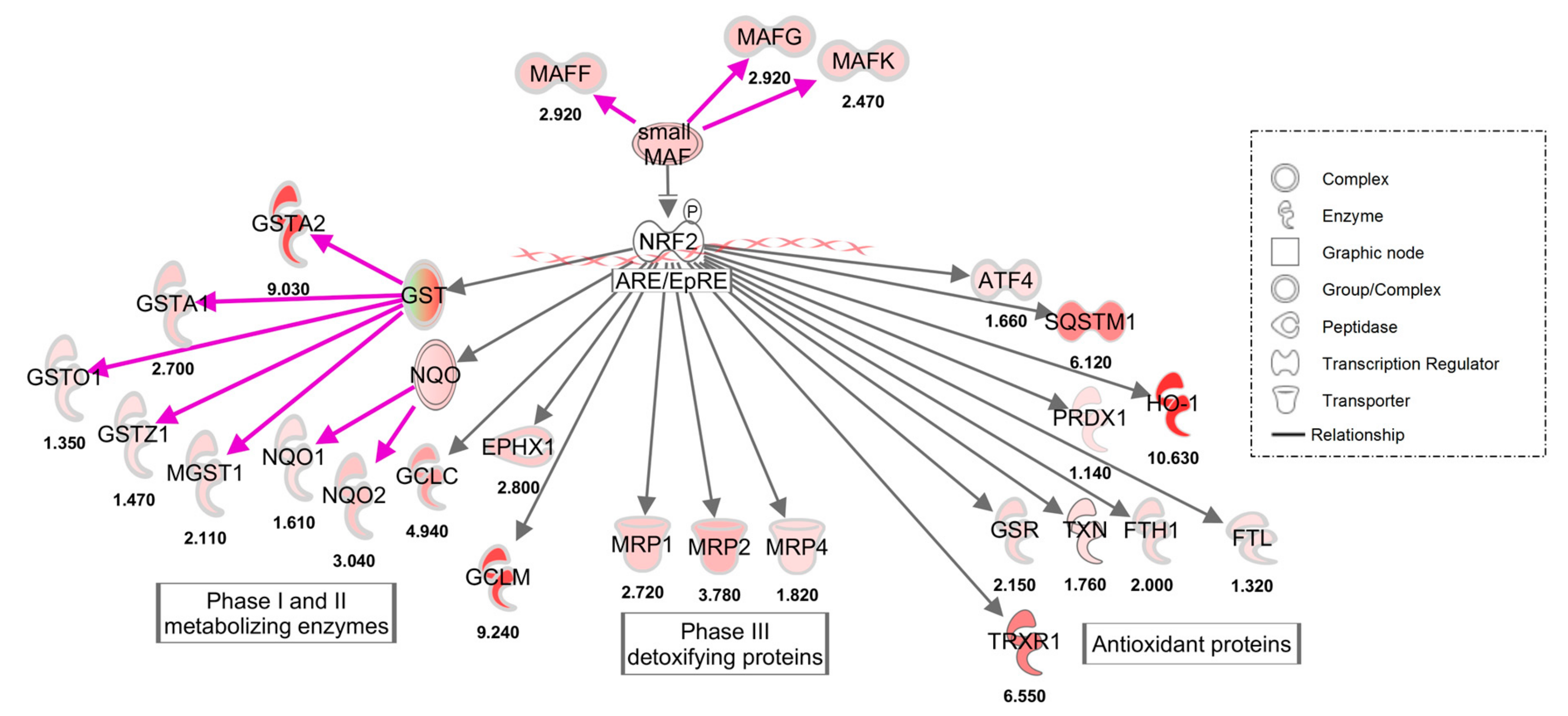 Antioxidants 08 00119 g002