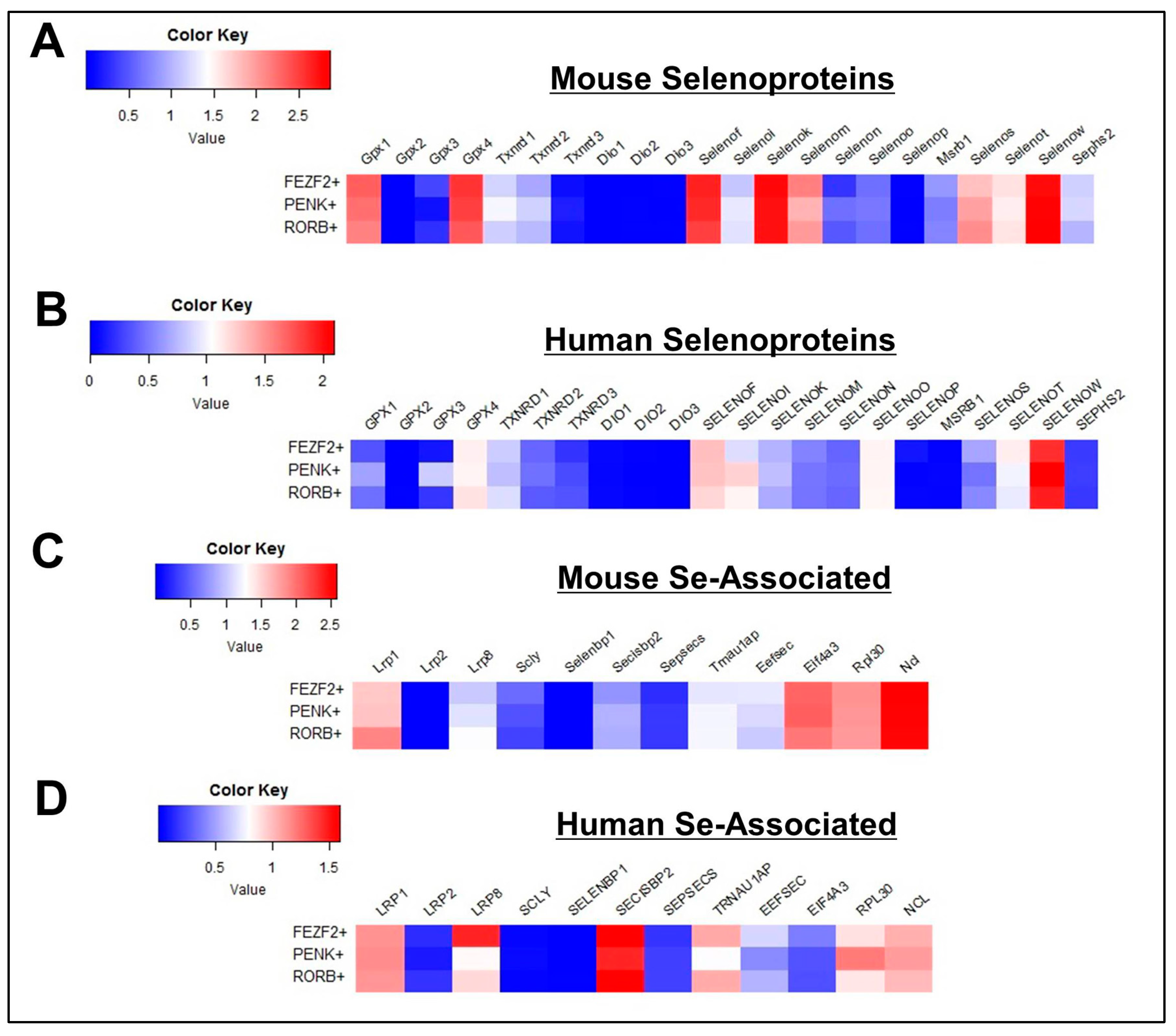 Antioxidants 08 00120 g005 Antioxidants 08 00120 g005