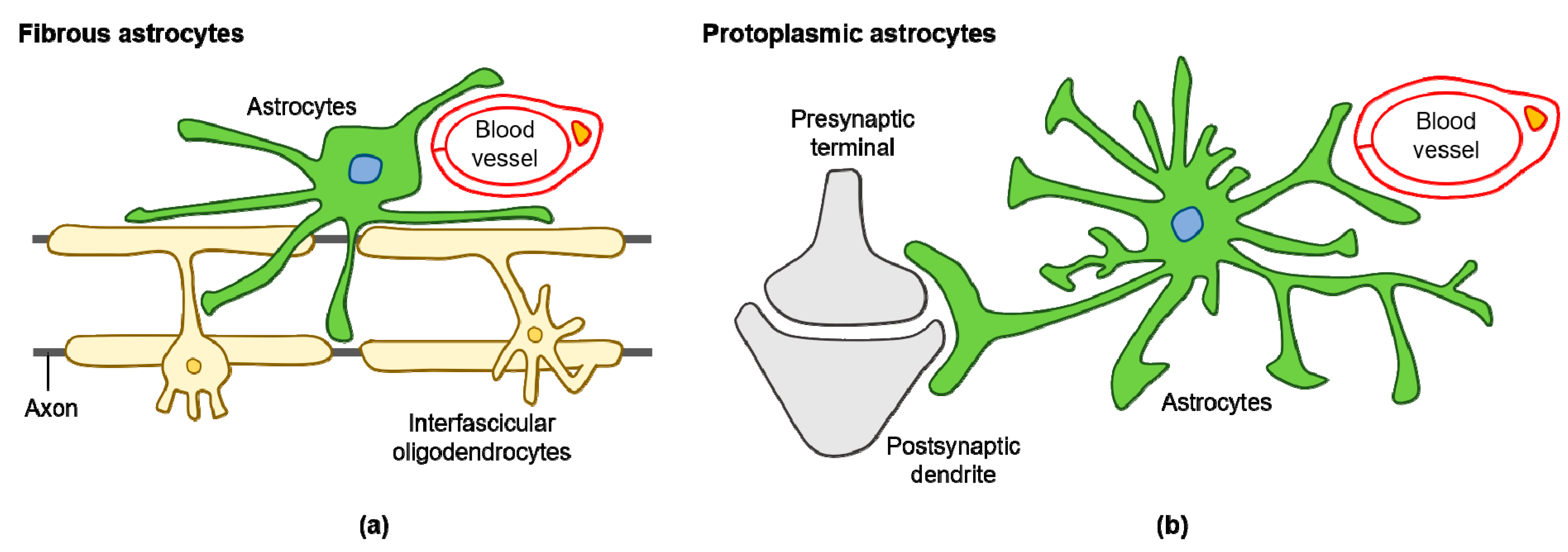 Antioxidants 08 00121 g001