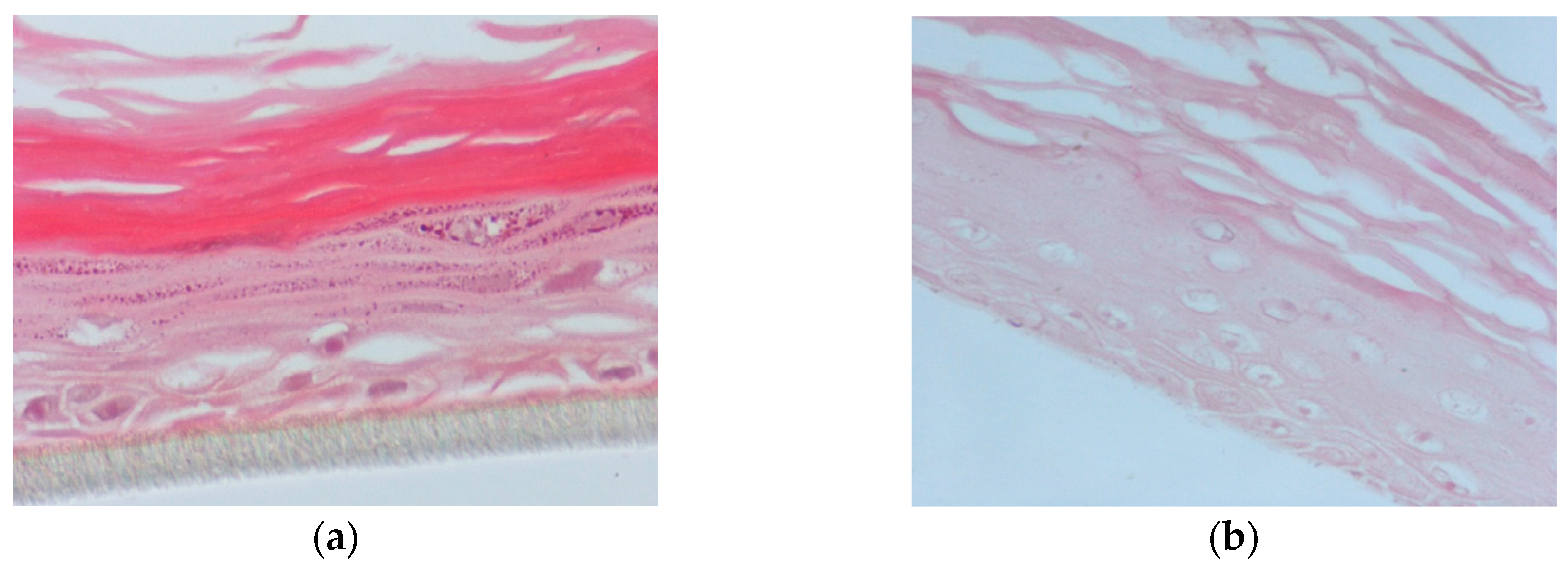 Antioxidants 08 00125 g006a