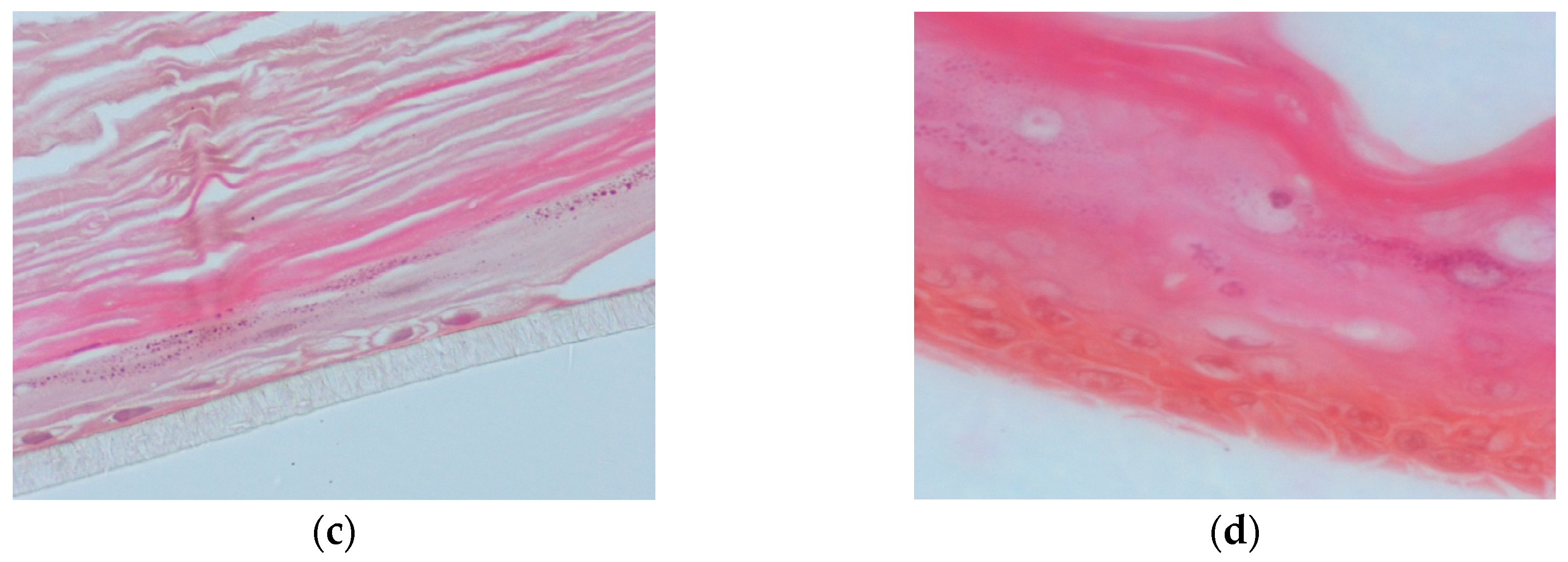 Antioxidants 08 00125 g006b