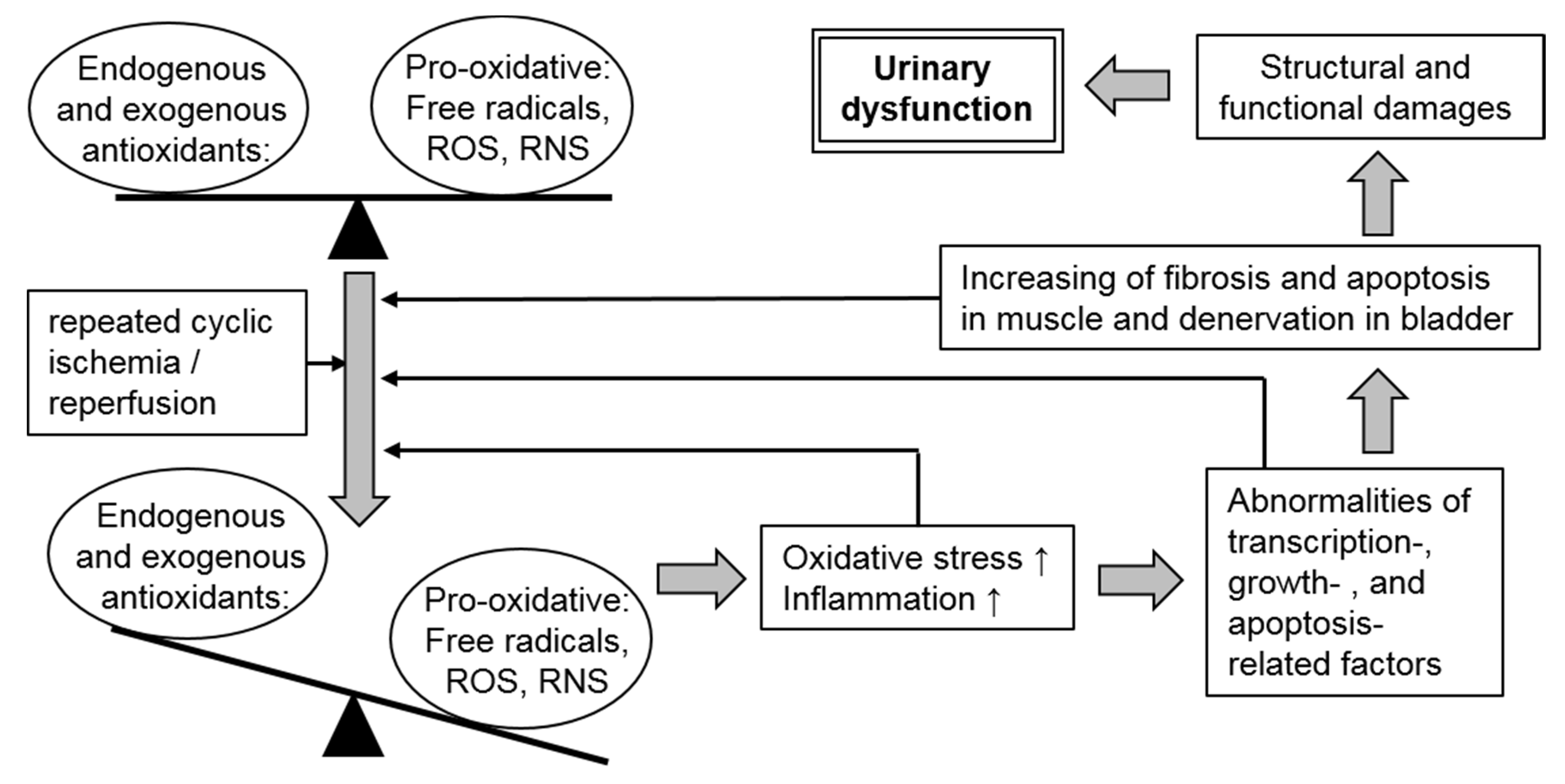 Antioxidants 08 00132 g001