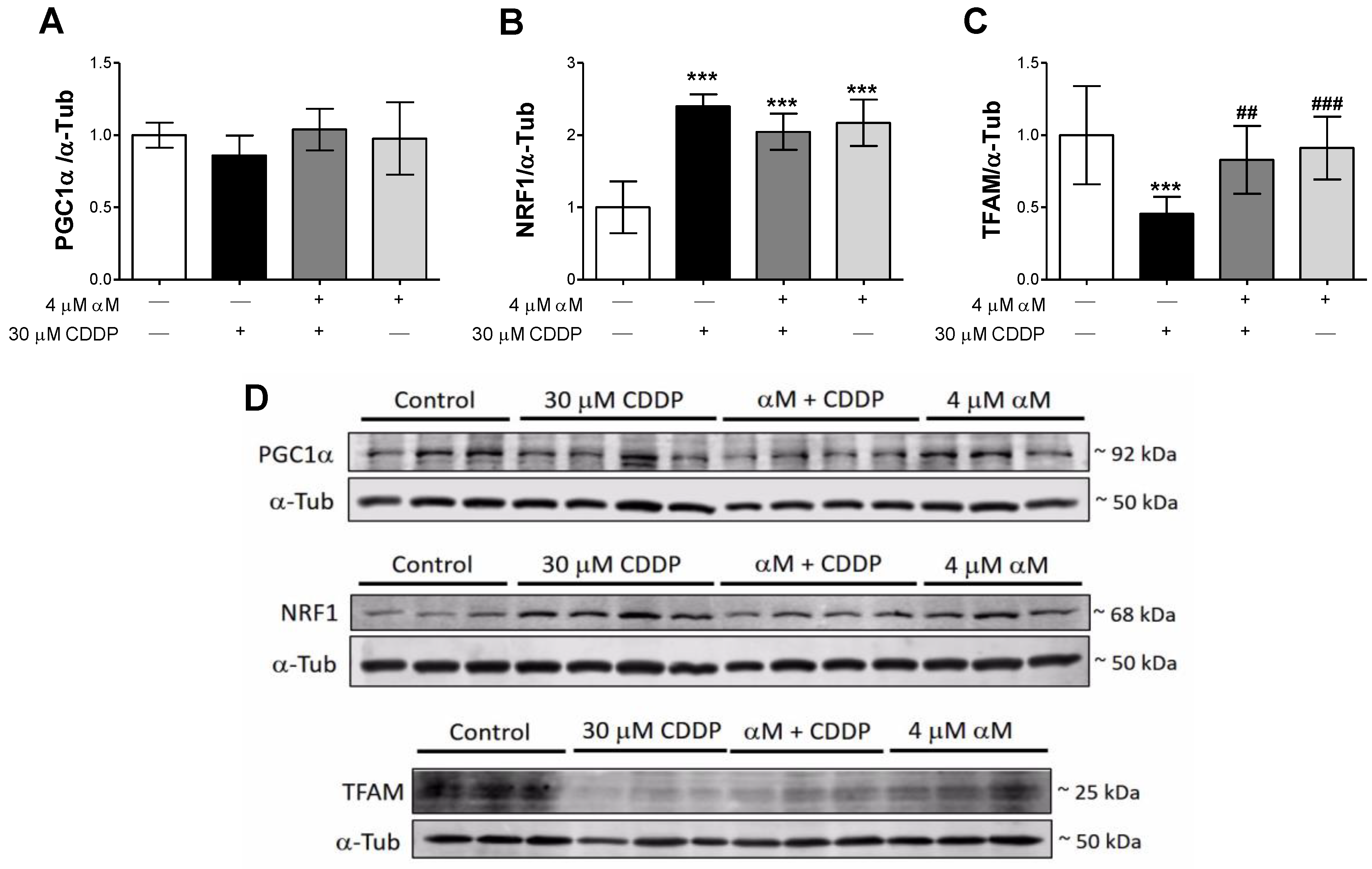 Antioxidants 08 00133 g007