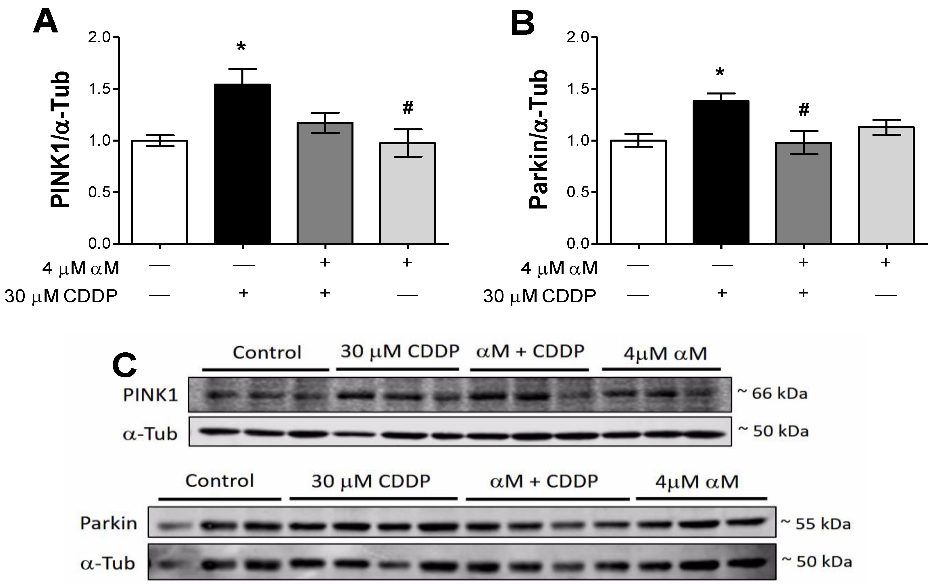 Antioxidants 08 00133 g008