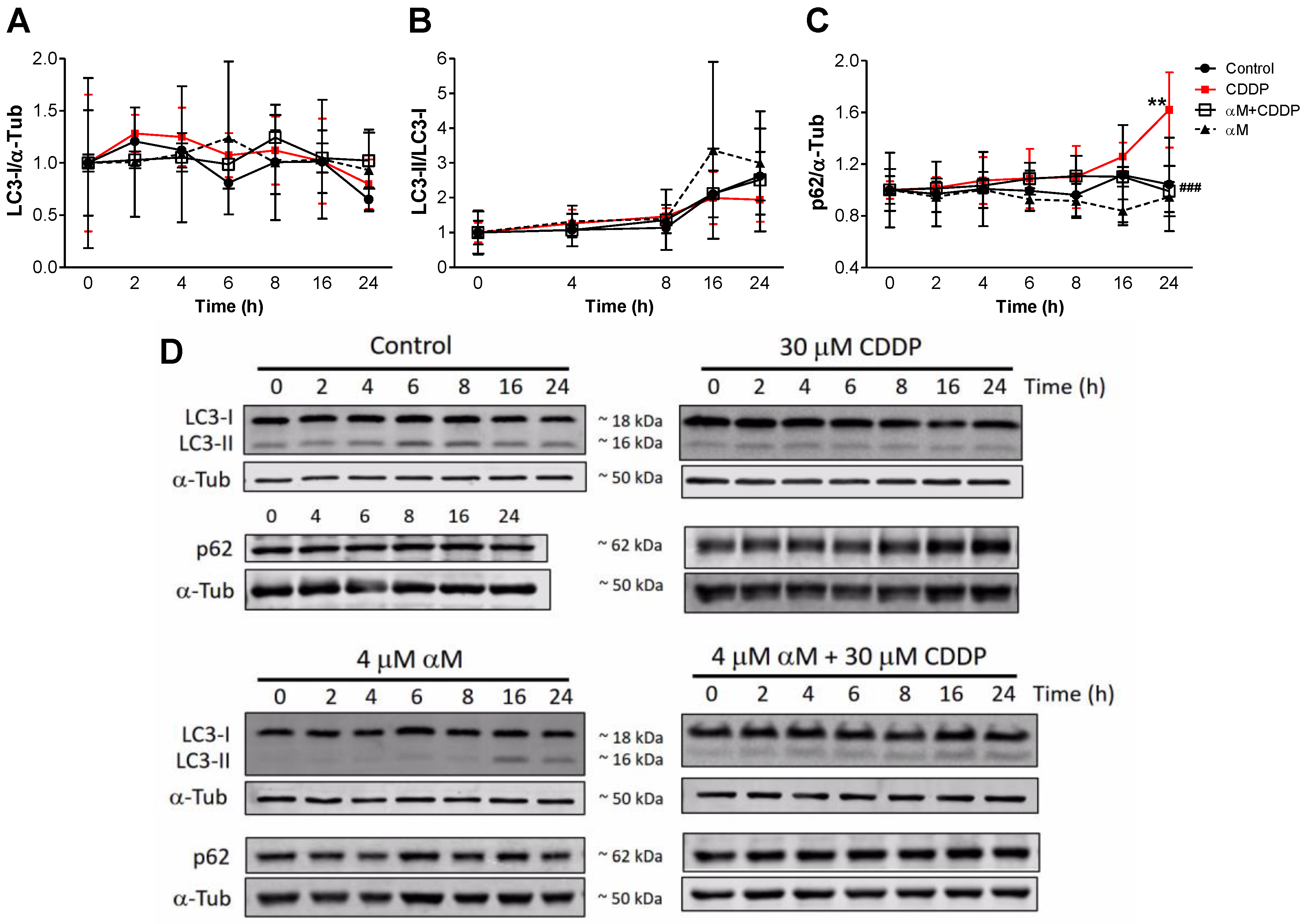 Antioxidants 08 00133 g010