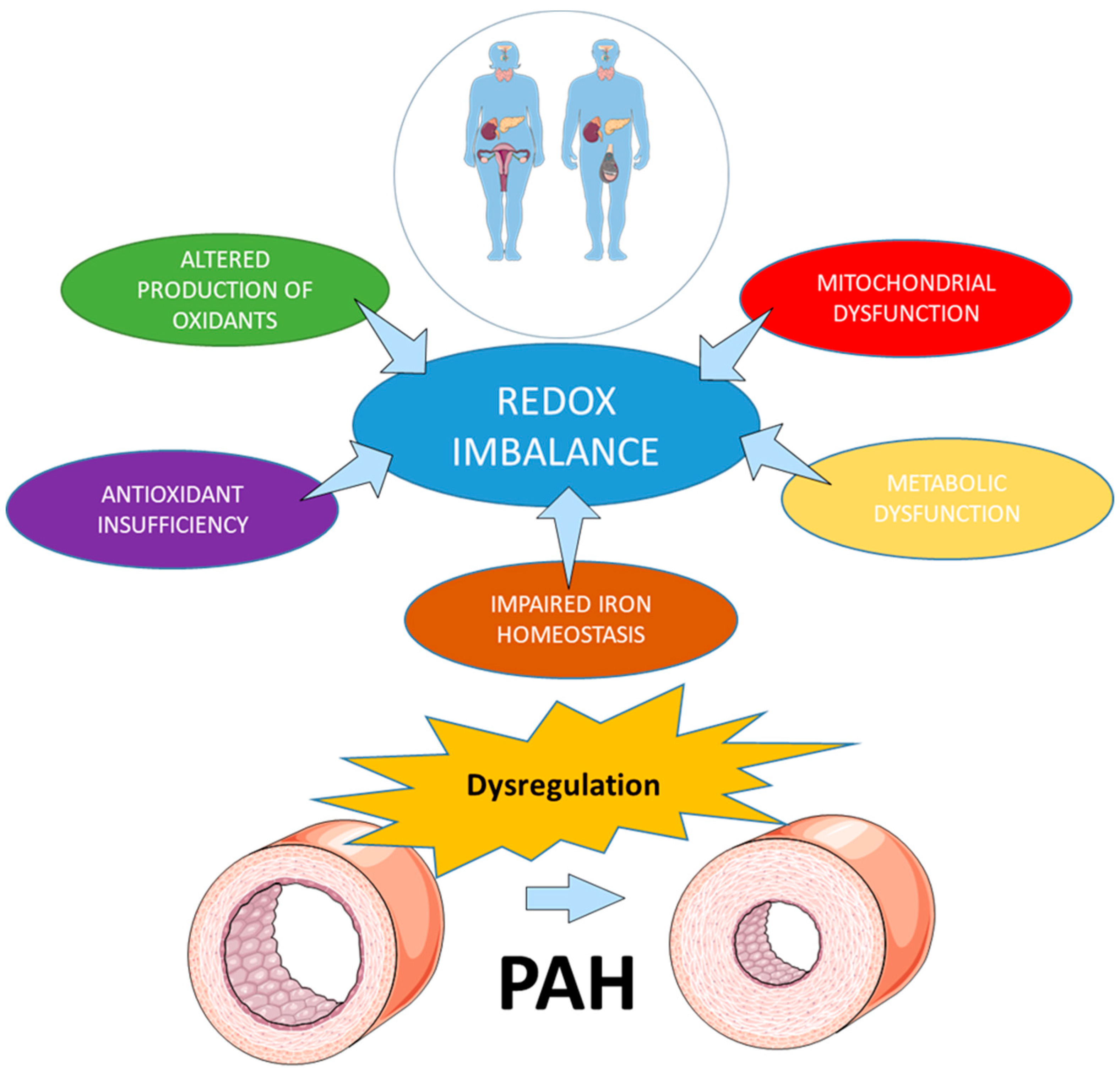 Antioxidants 08 00135 g001 Antioxidants 08 00135 g001