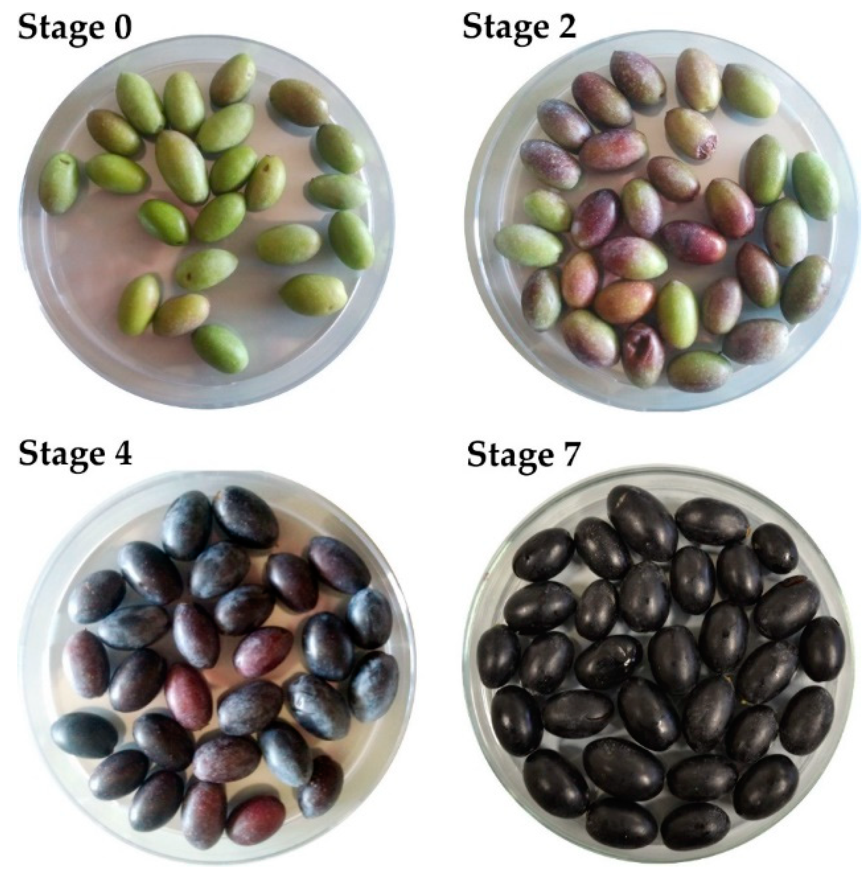 Antioxidants 08 00138 g001