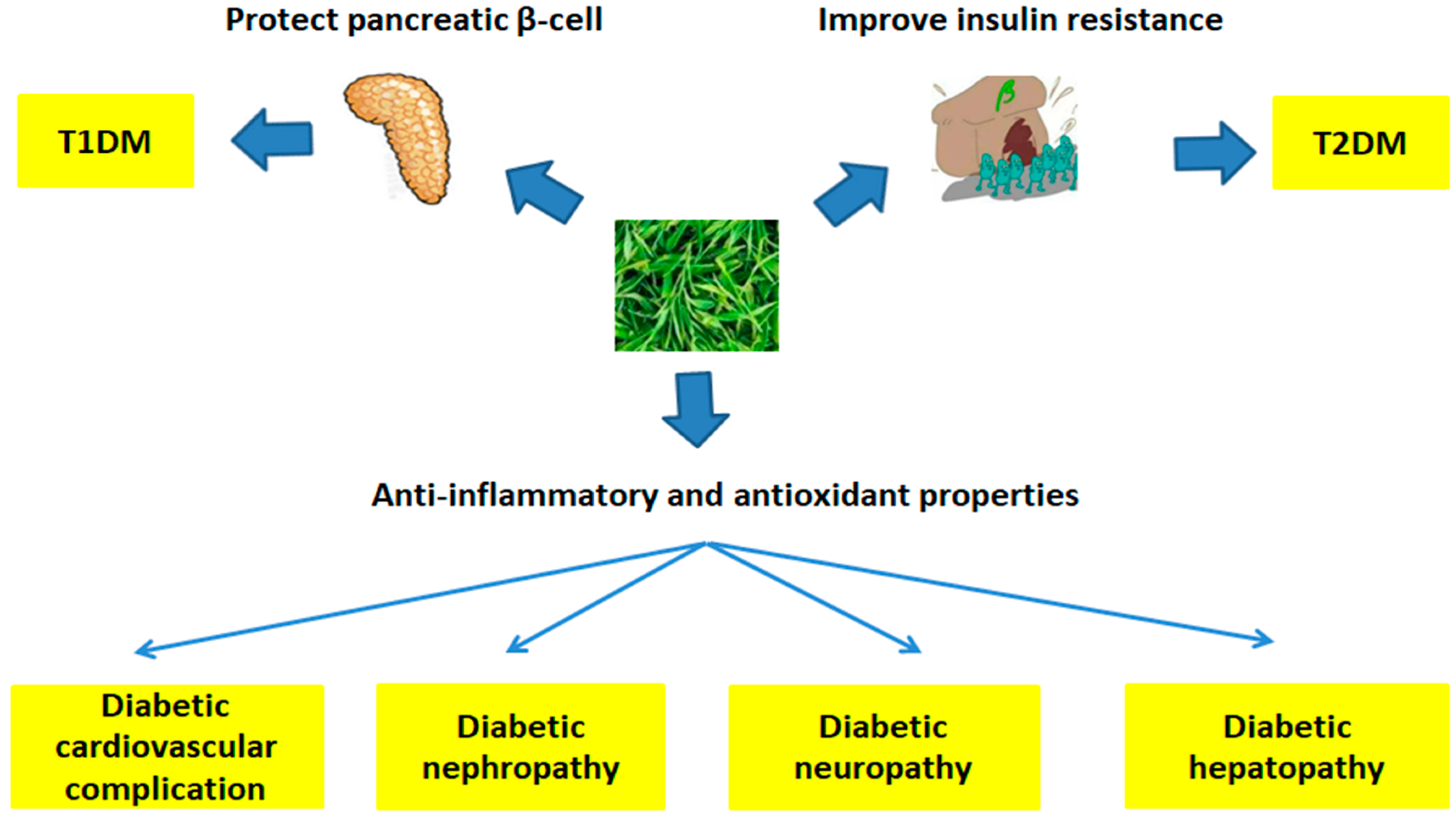 Antioxidants 08 00170 g003 Antioxidants 08 00170 g003