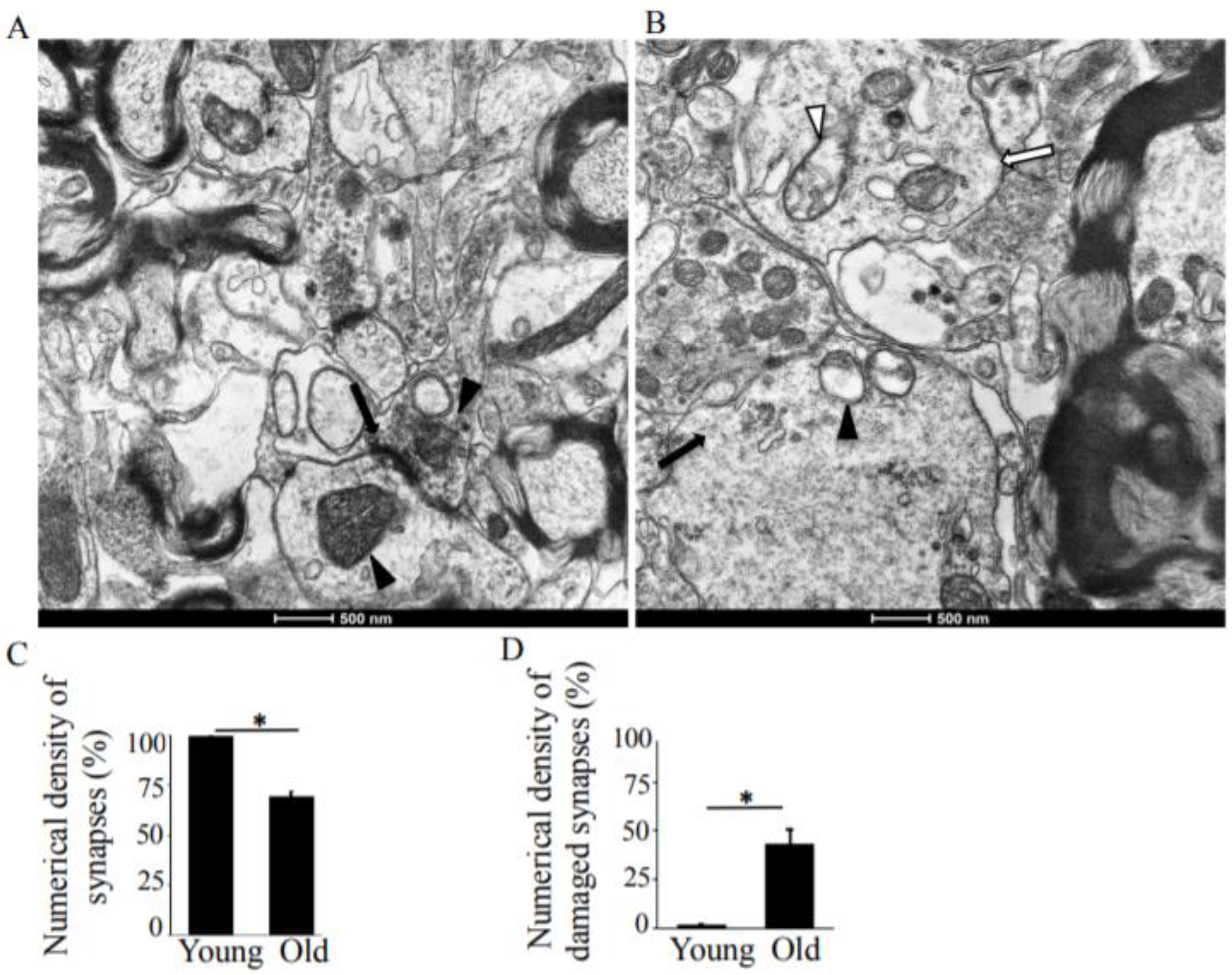 Antioxidants 08 00171 g001