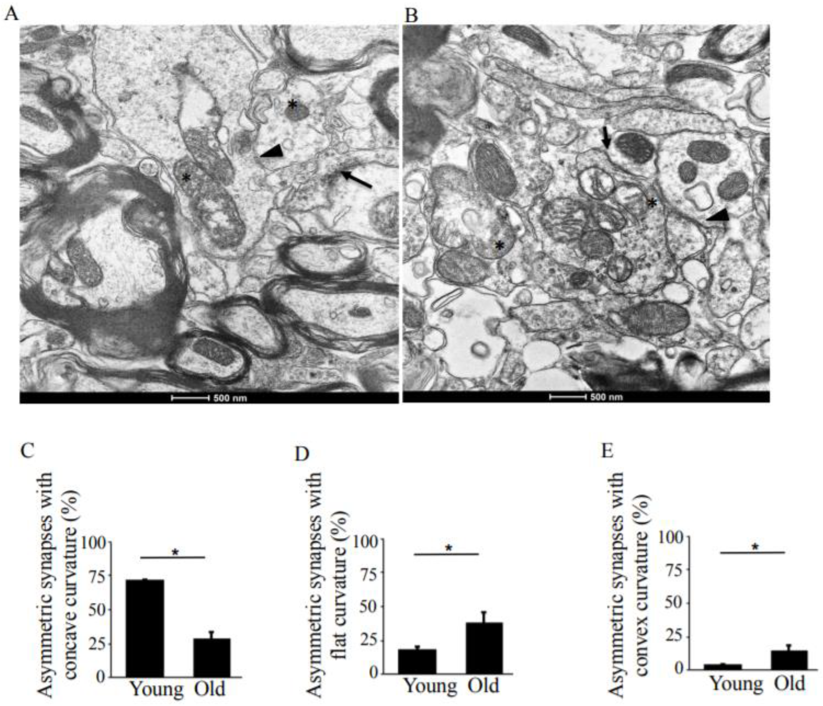 Antioxidants 08 00171 g002