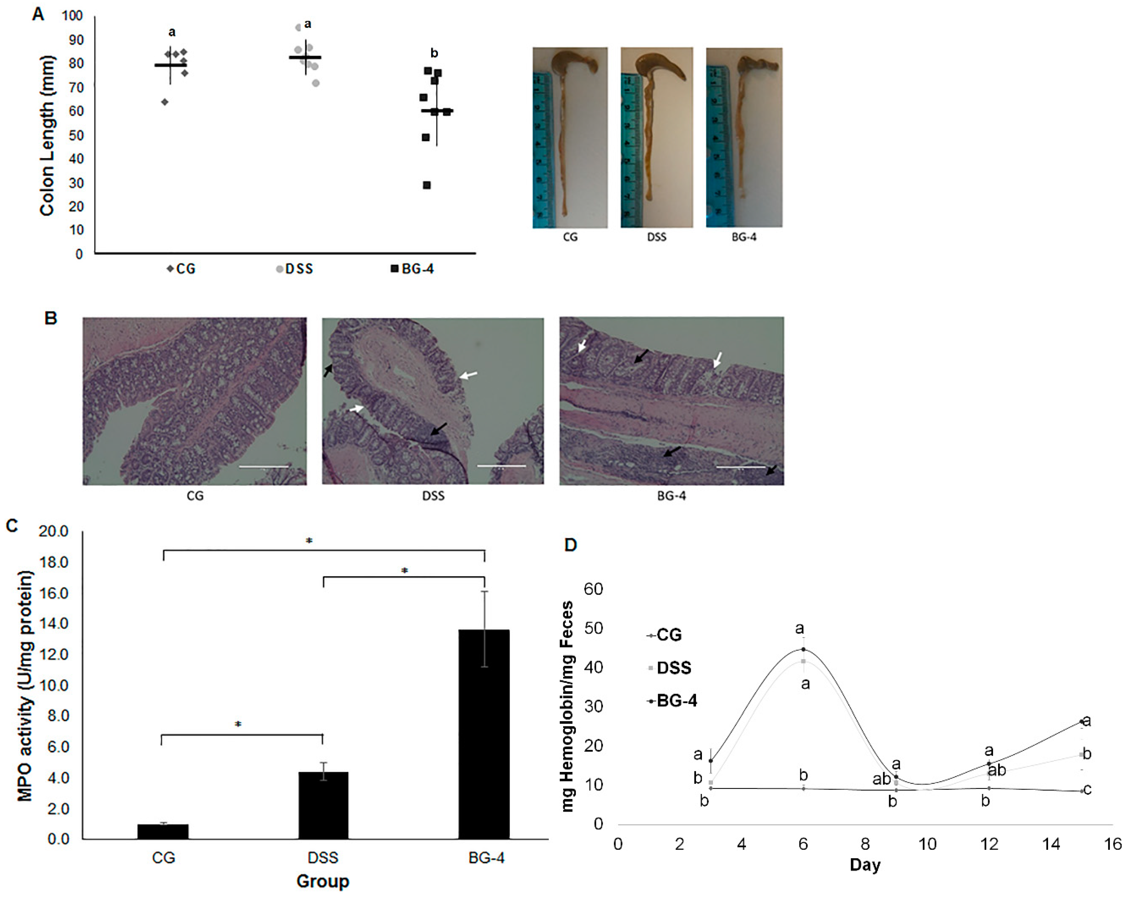Antioxidants 08 00175 g004