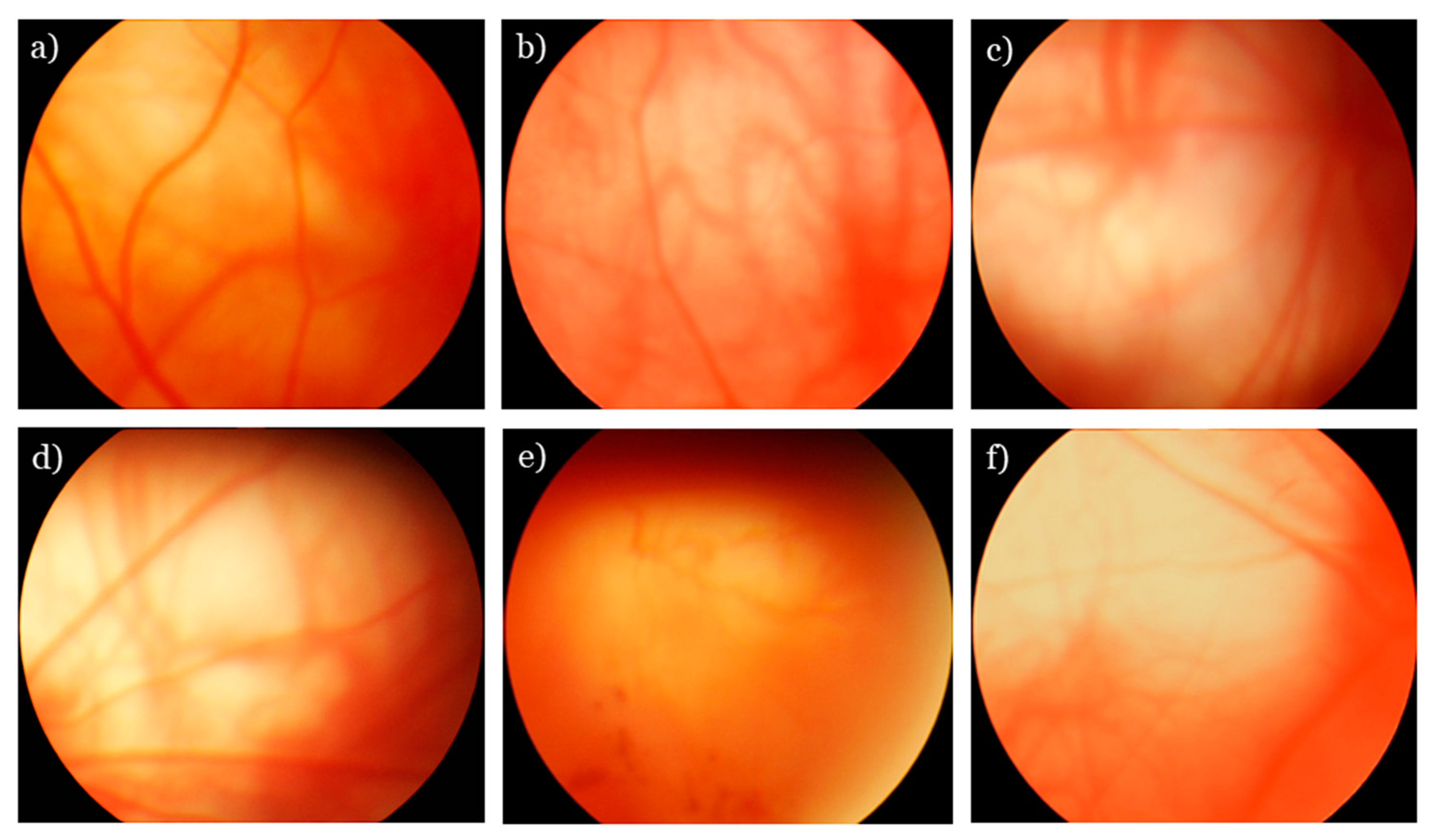 Antioxidants 08 00177 g001 Antioxidants 08 00177 g001
