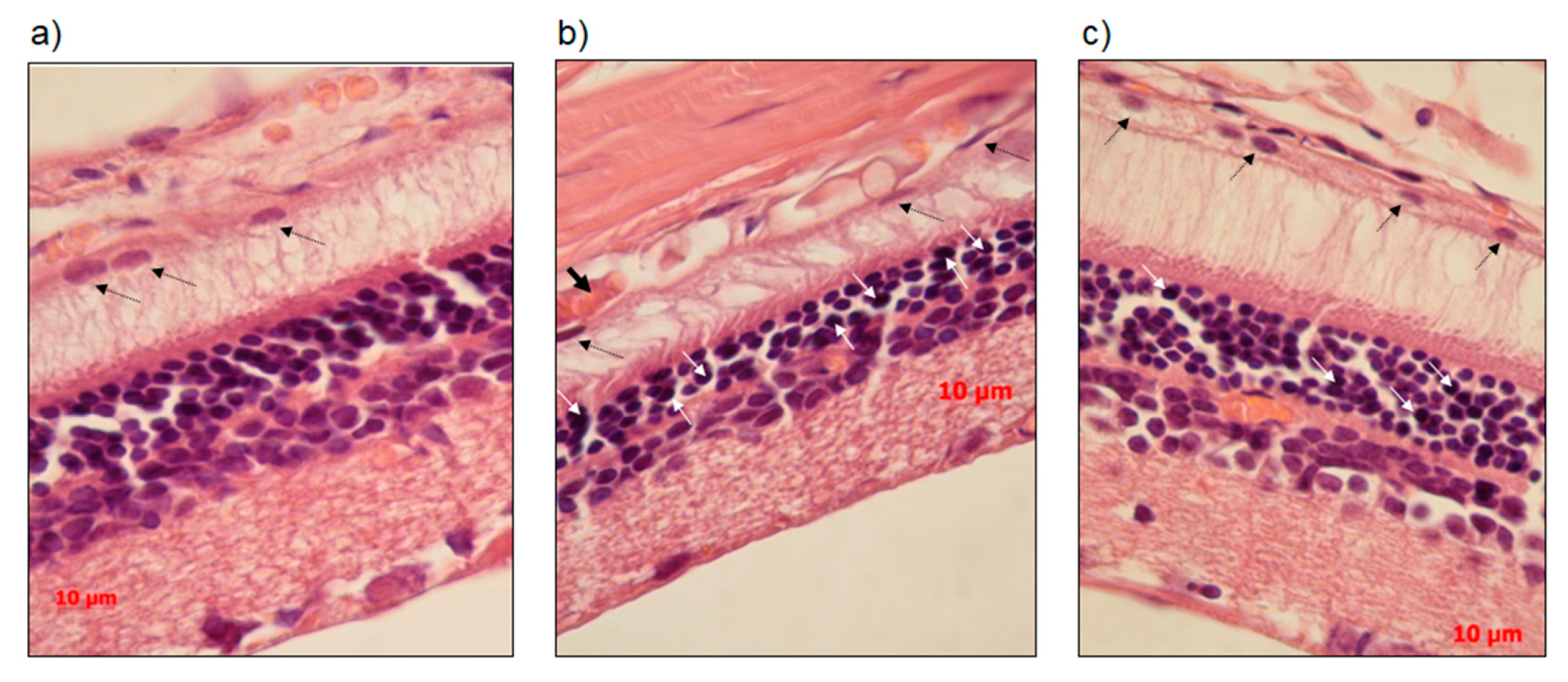 Antioxidants 08 00177 g003 Antioxidants 08 00177 g003