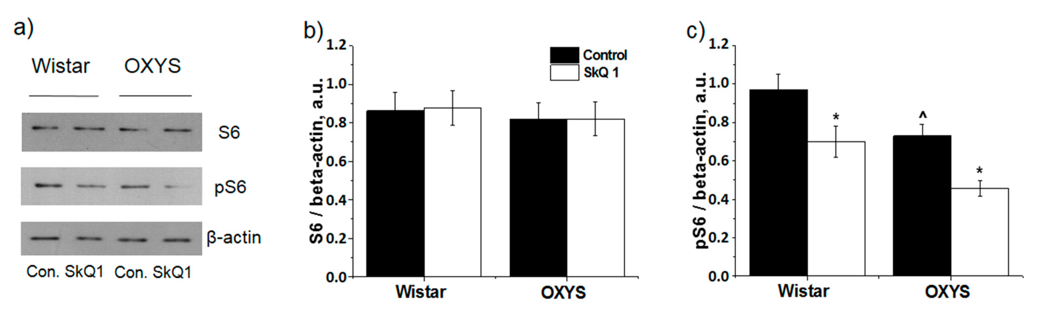 Antioxidants 08 00177 g004 Antioxidants 08 00177 g004