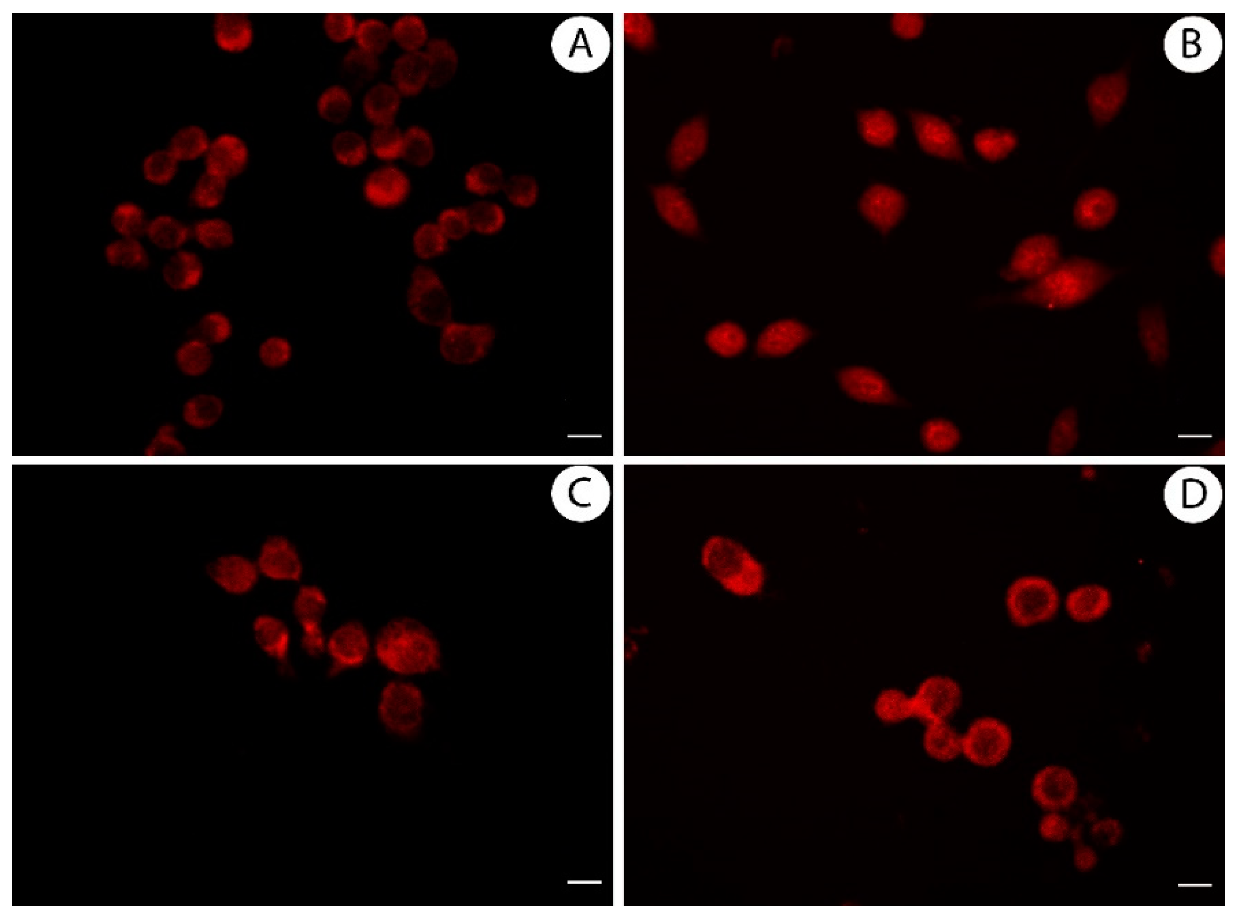 Antioxidants 08 00186 g005