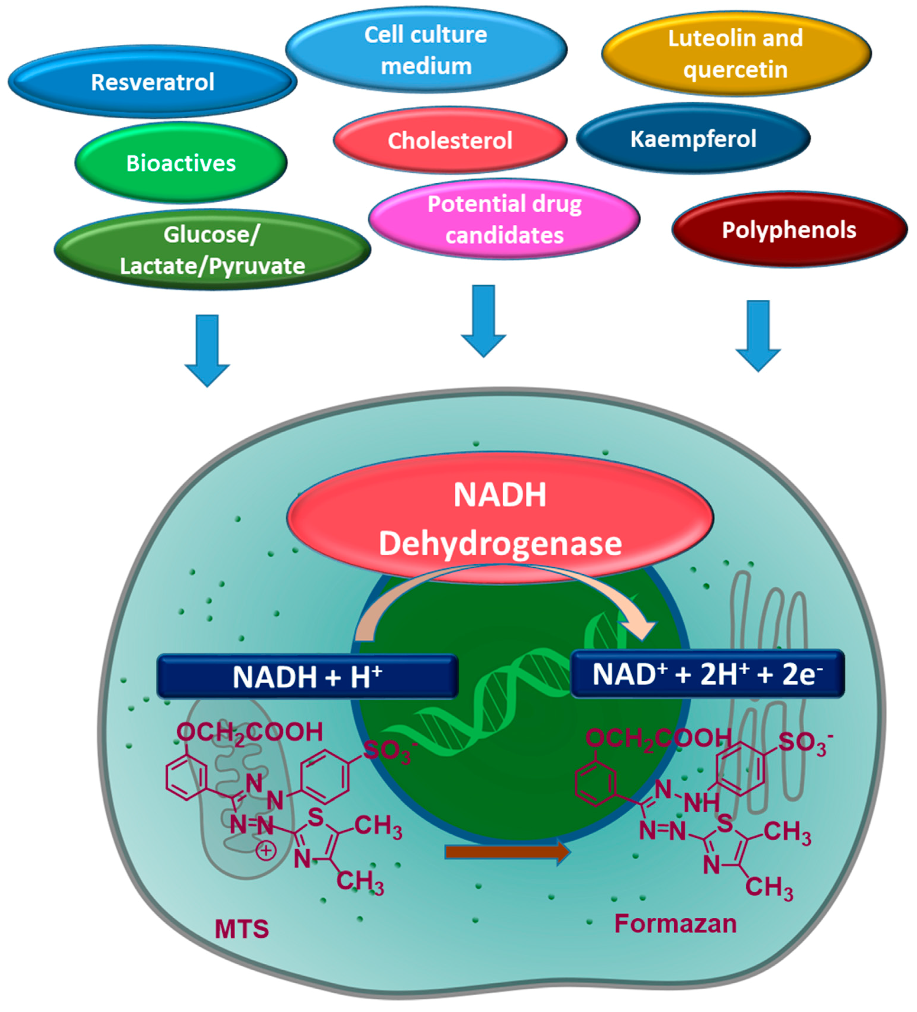 Antioxidants 08 00191 g004 Antioxidants 08 00191 g004