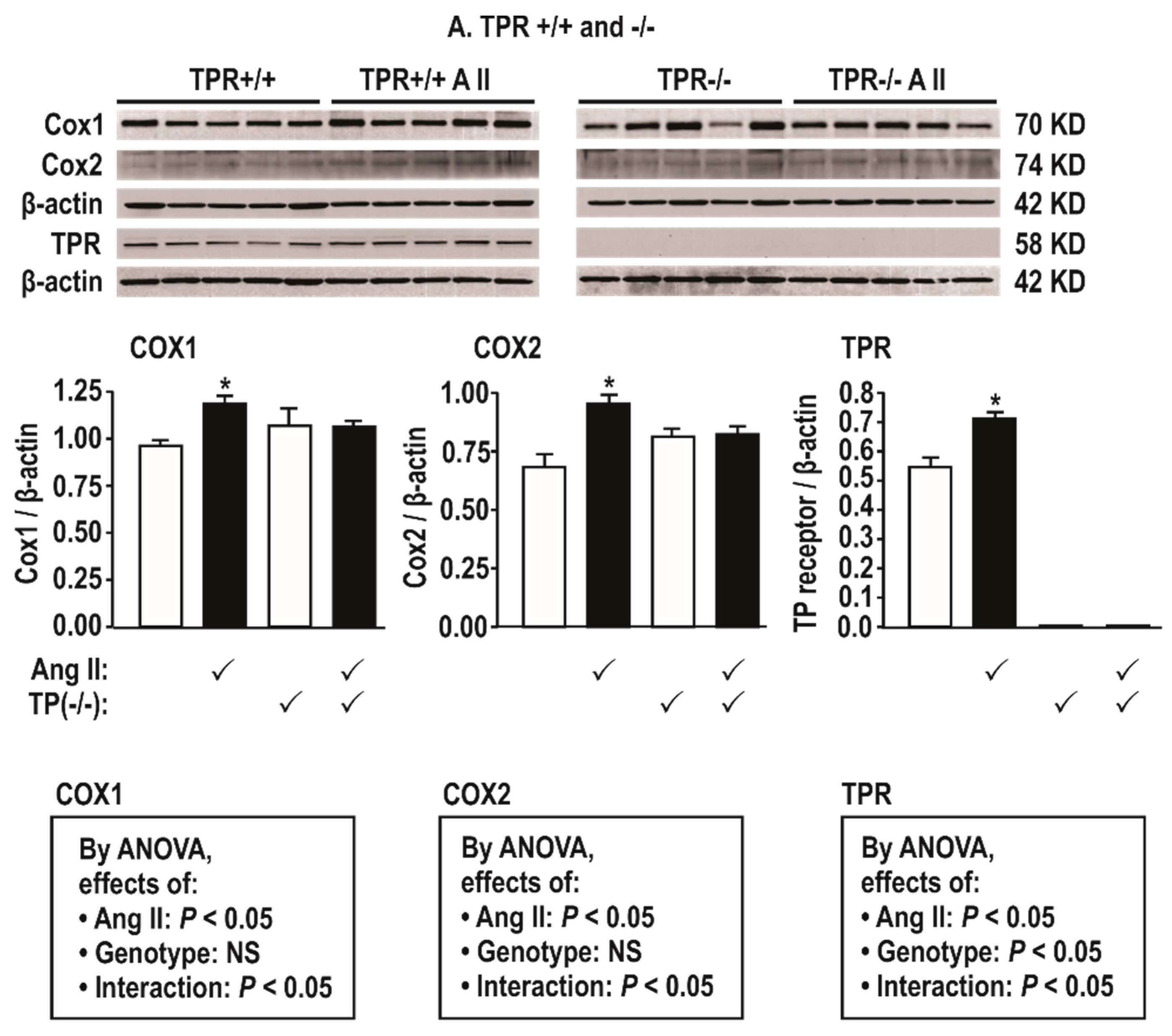 Antioxidants 08 00193 g002