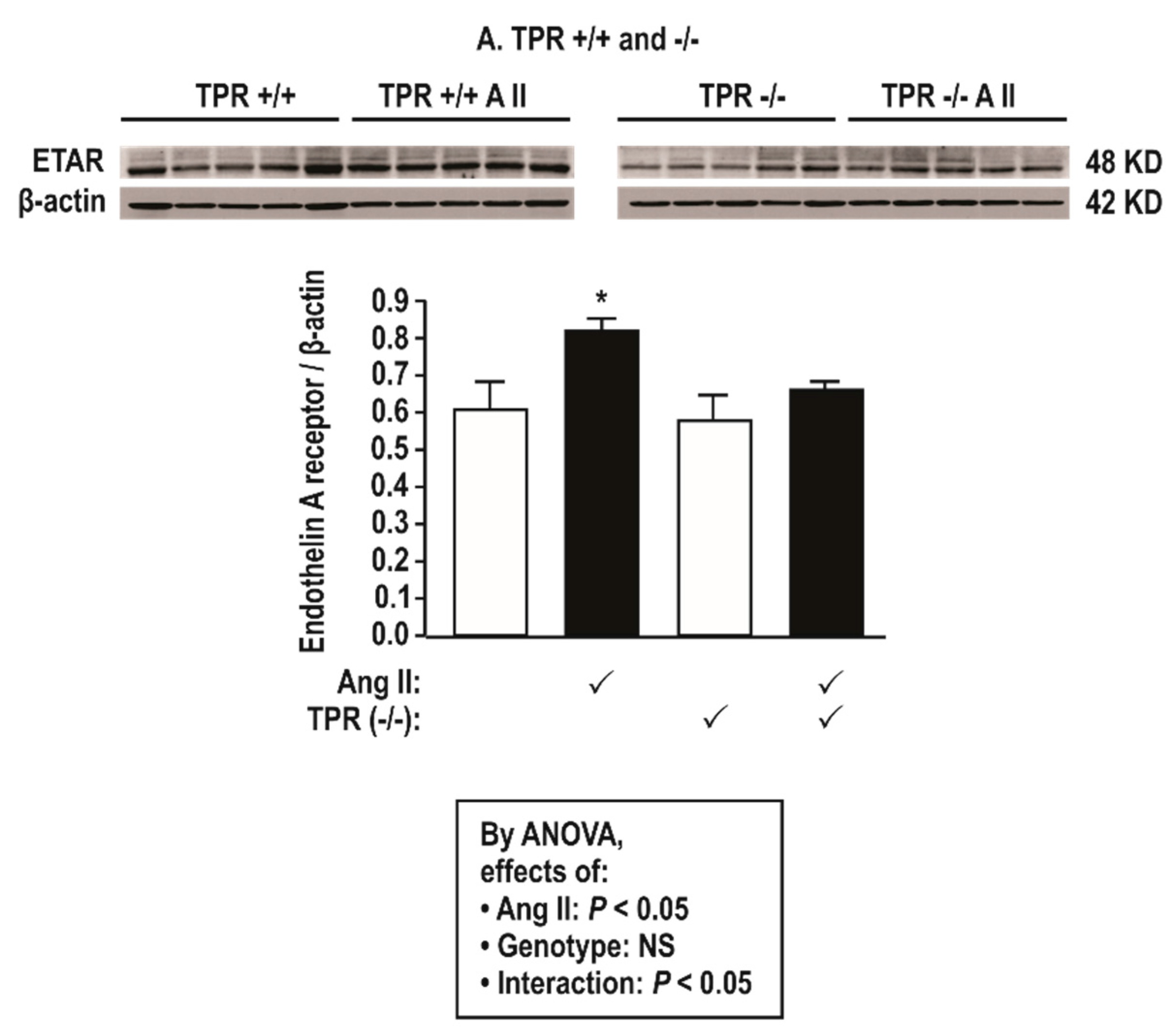 Antioxidants 08 00193 g003