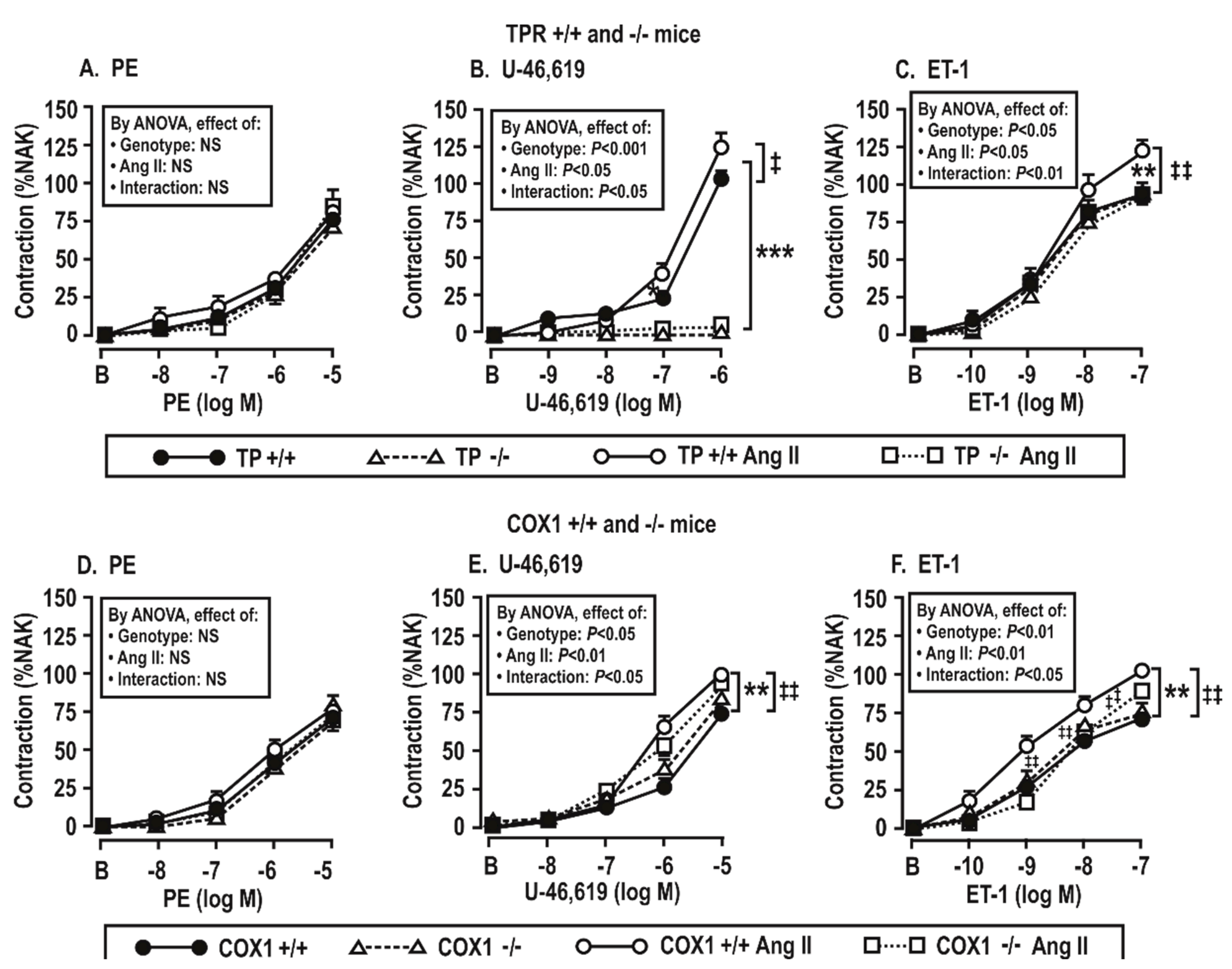 Antioxidants 08 00193 g004