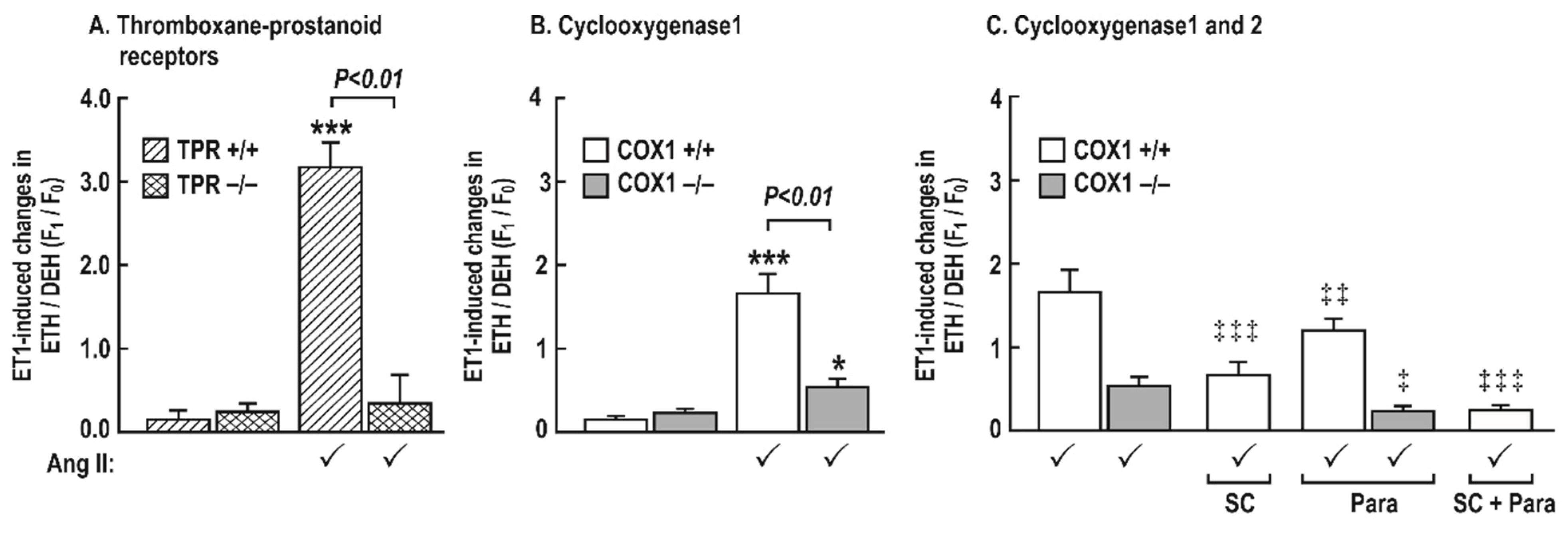Antioxidants 08 00193 g007