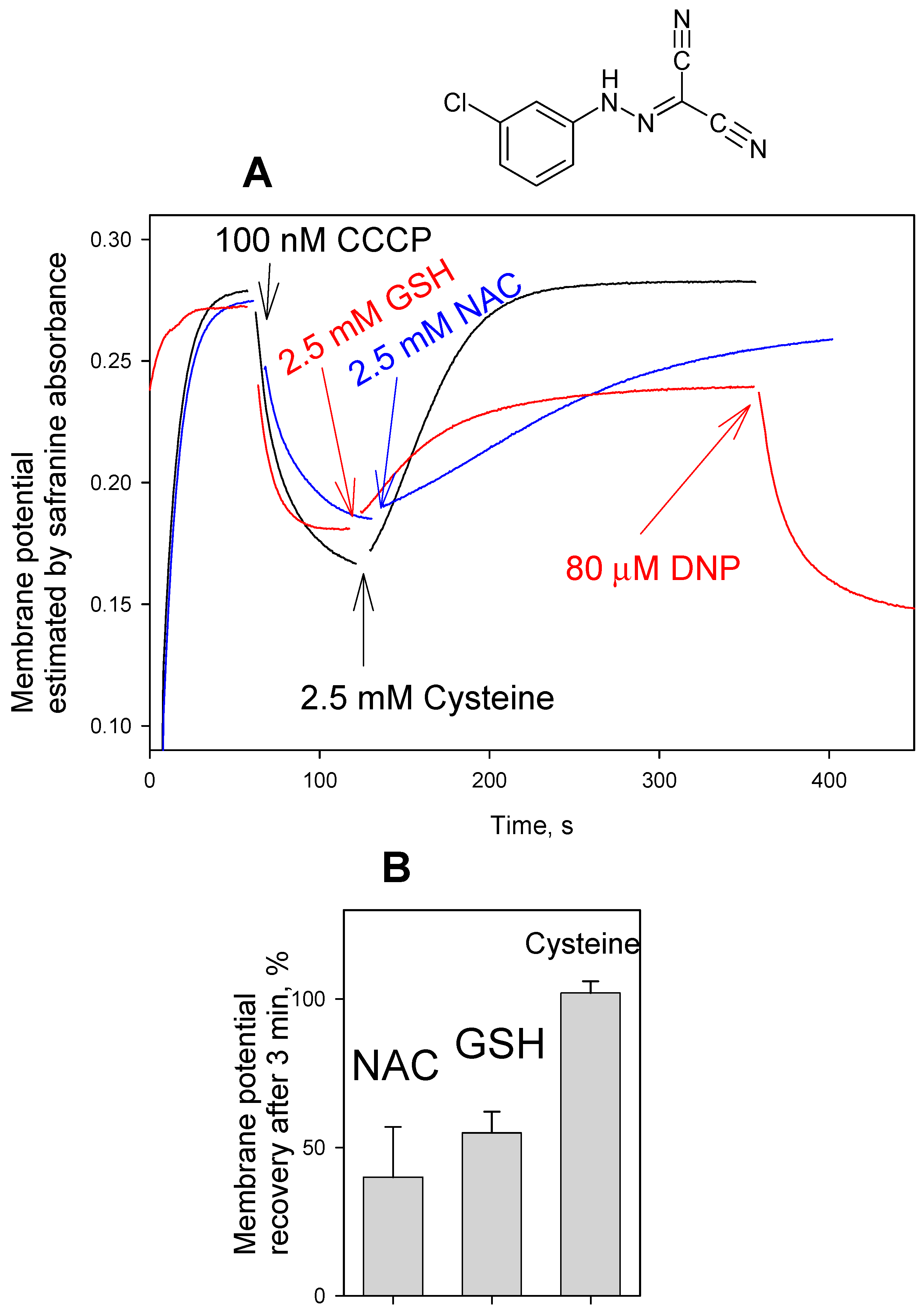 Antioxidants 08 00194 g003