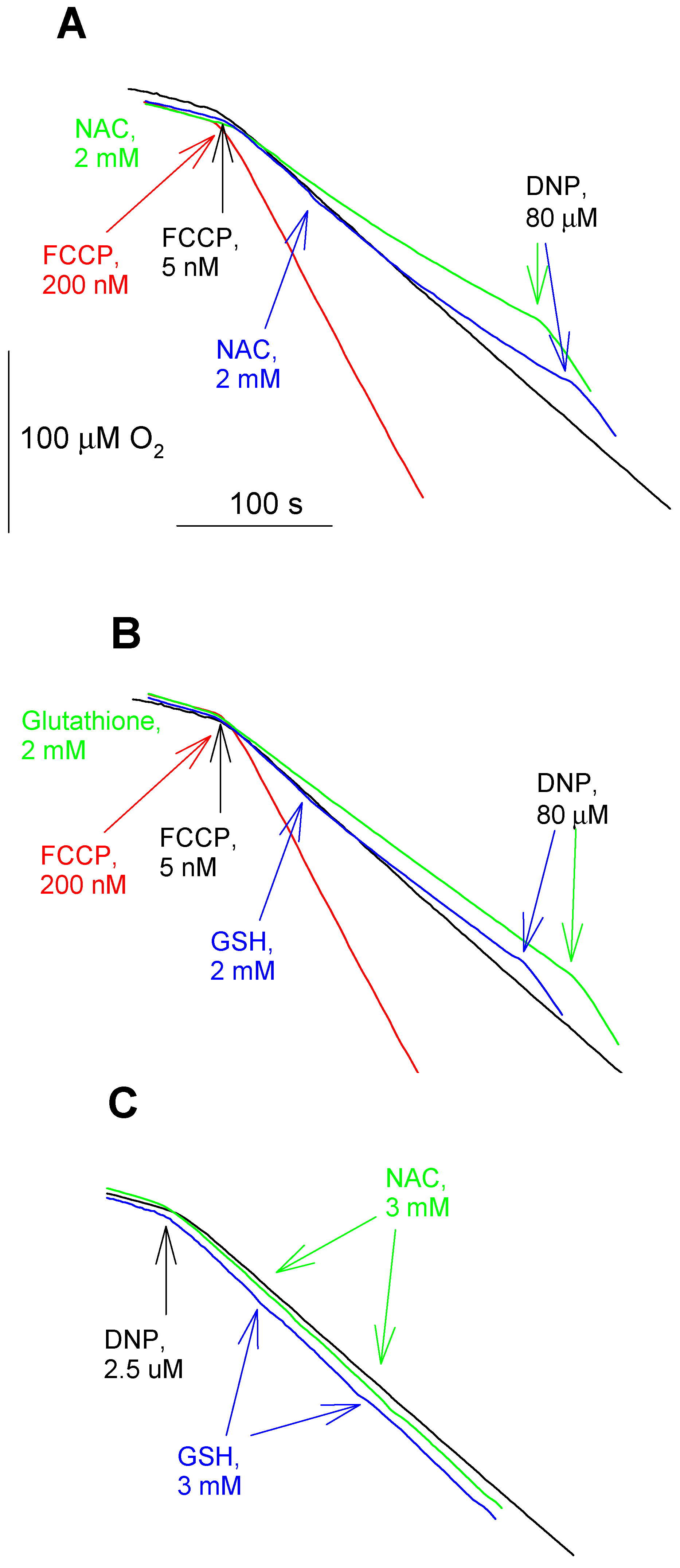 Antioxidants 08 00194 g004