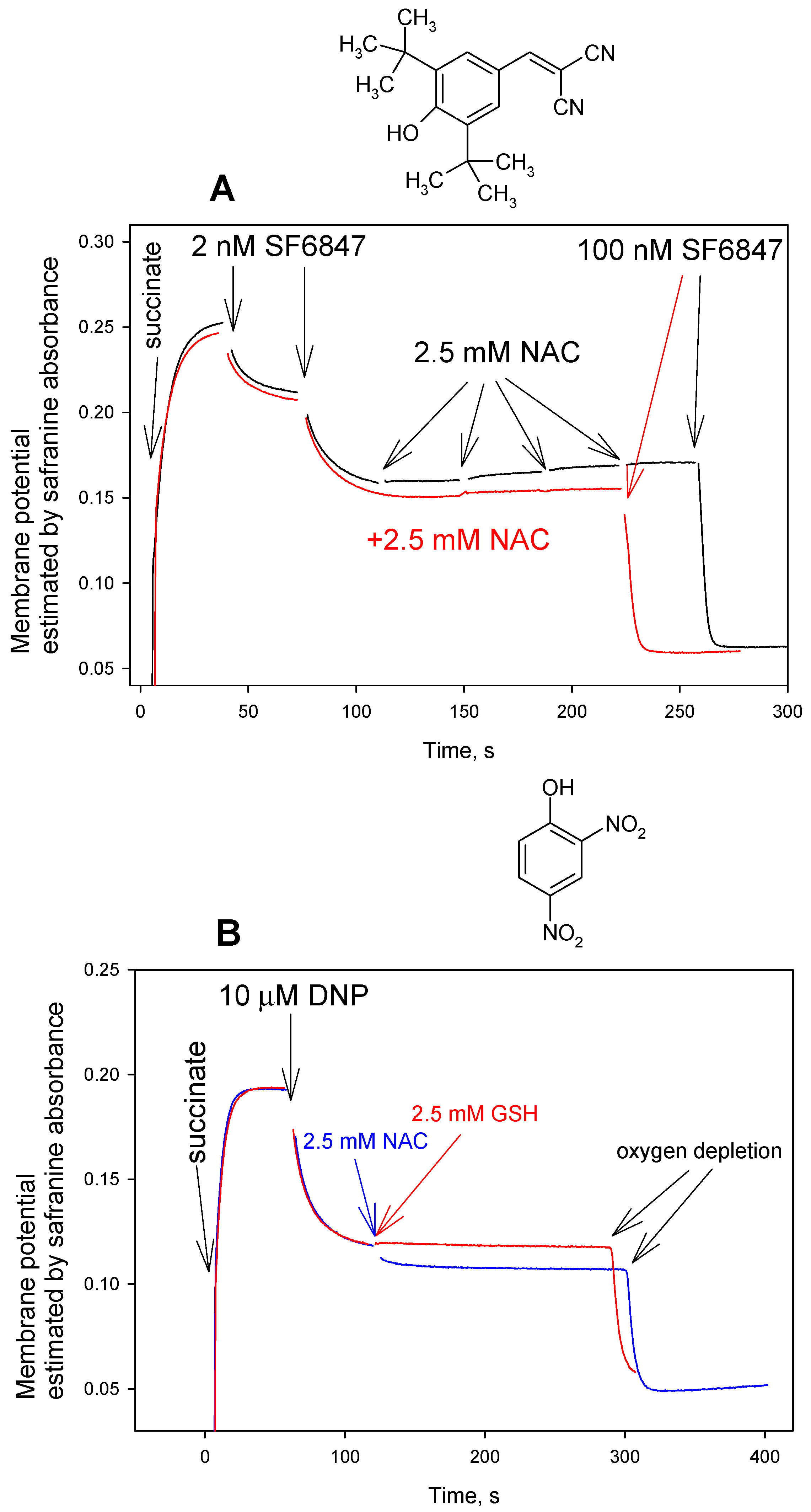 Antioxidants 08 00194 g005