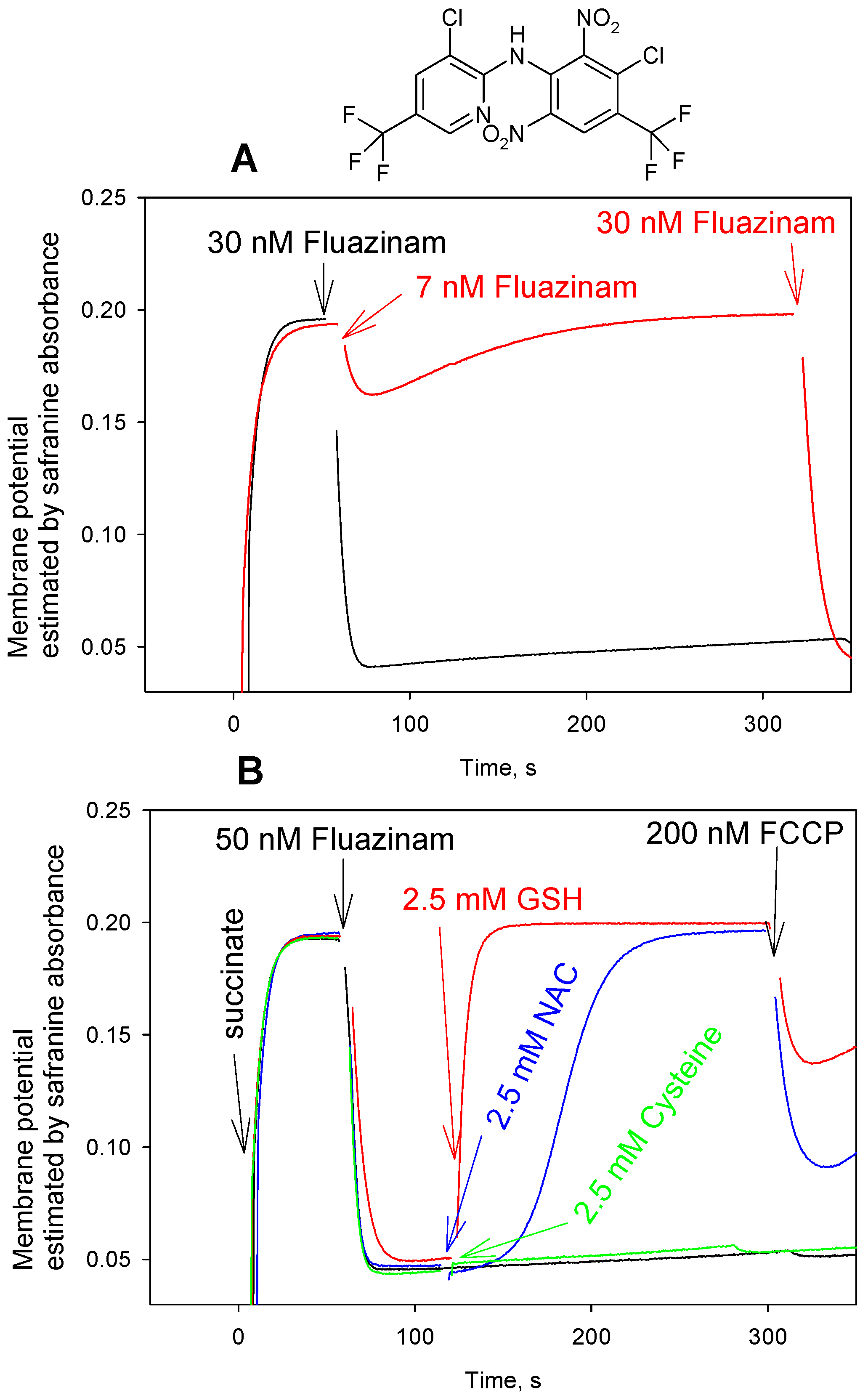 Antioxidants 08 00194 g006
