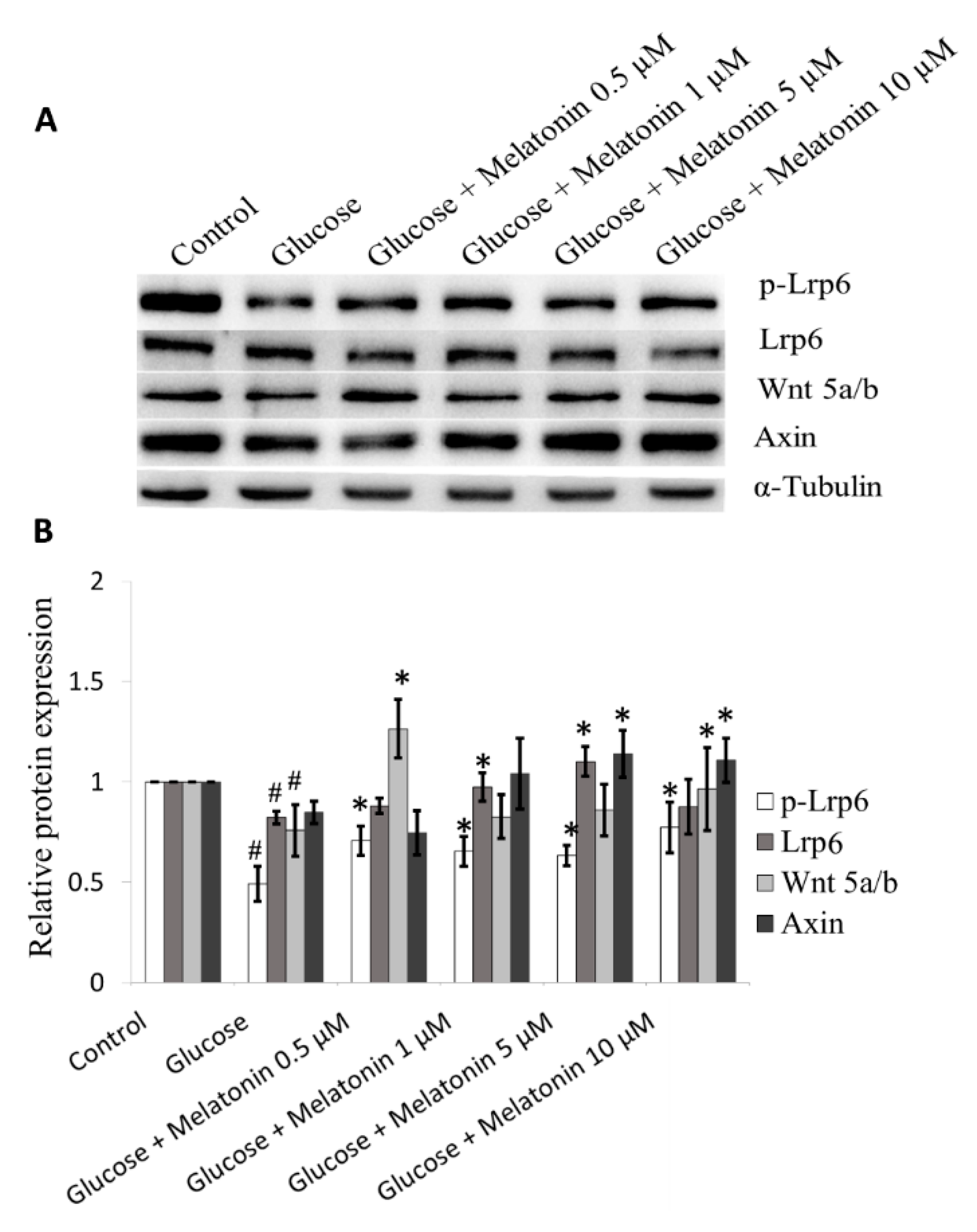 Antioxidants 08 00198 g008