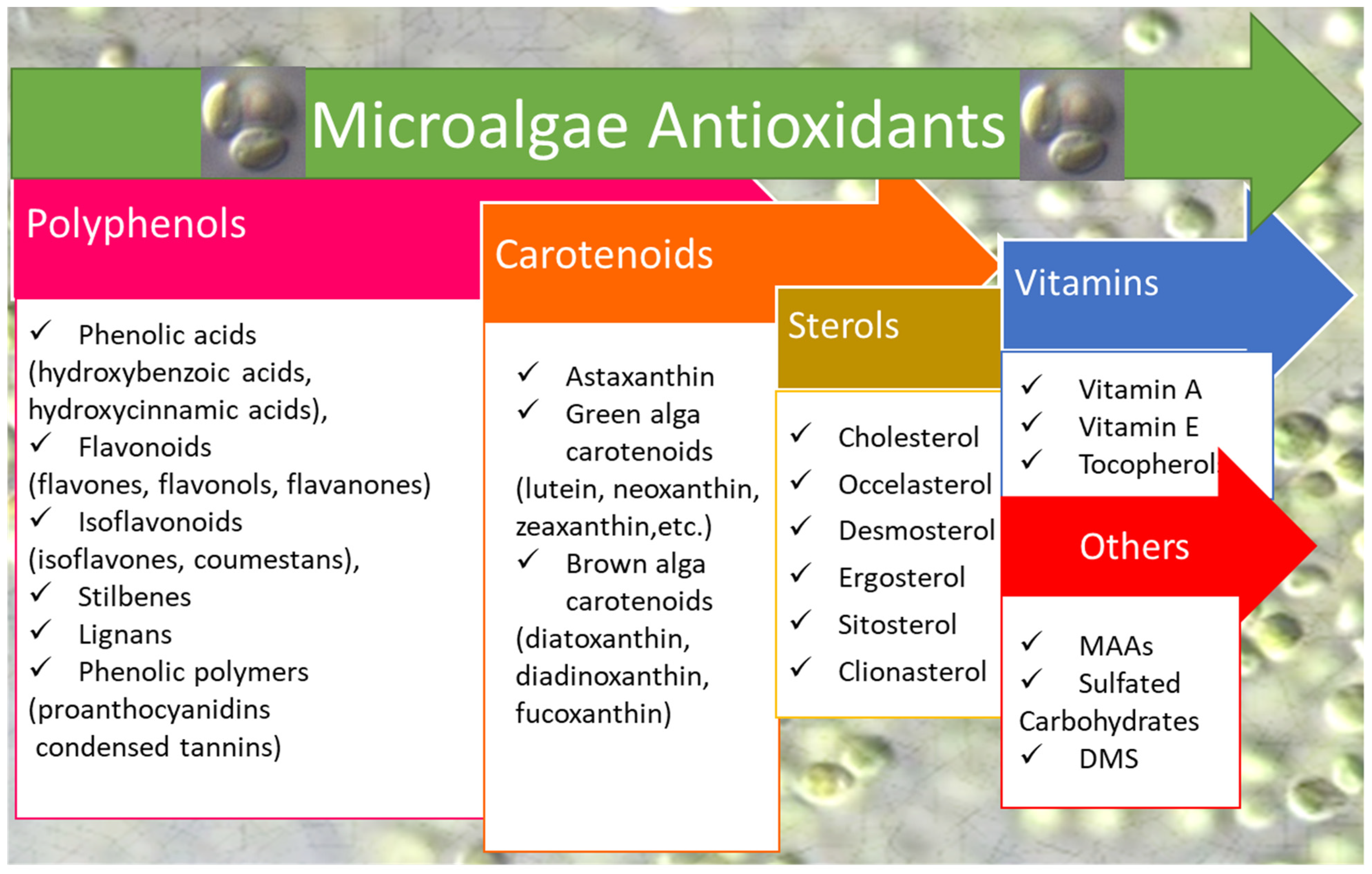 Antioxidants 08 00199 g001 Antioxidants 08 00199 g001