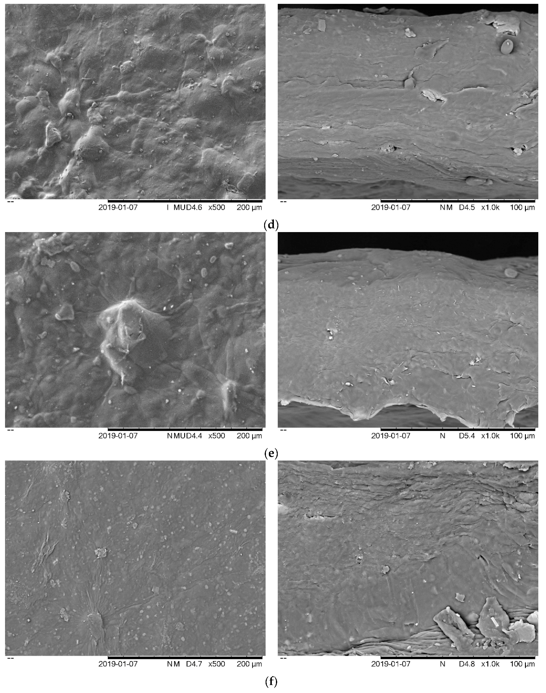 Antioxidants 08 00204 g001b