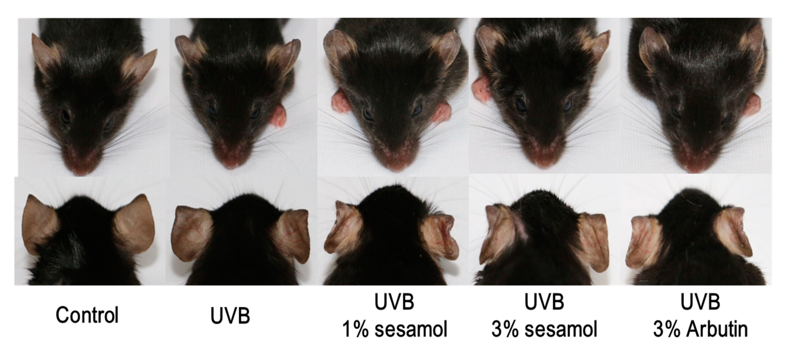 Antioxidants 08 00207 g005