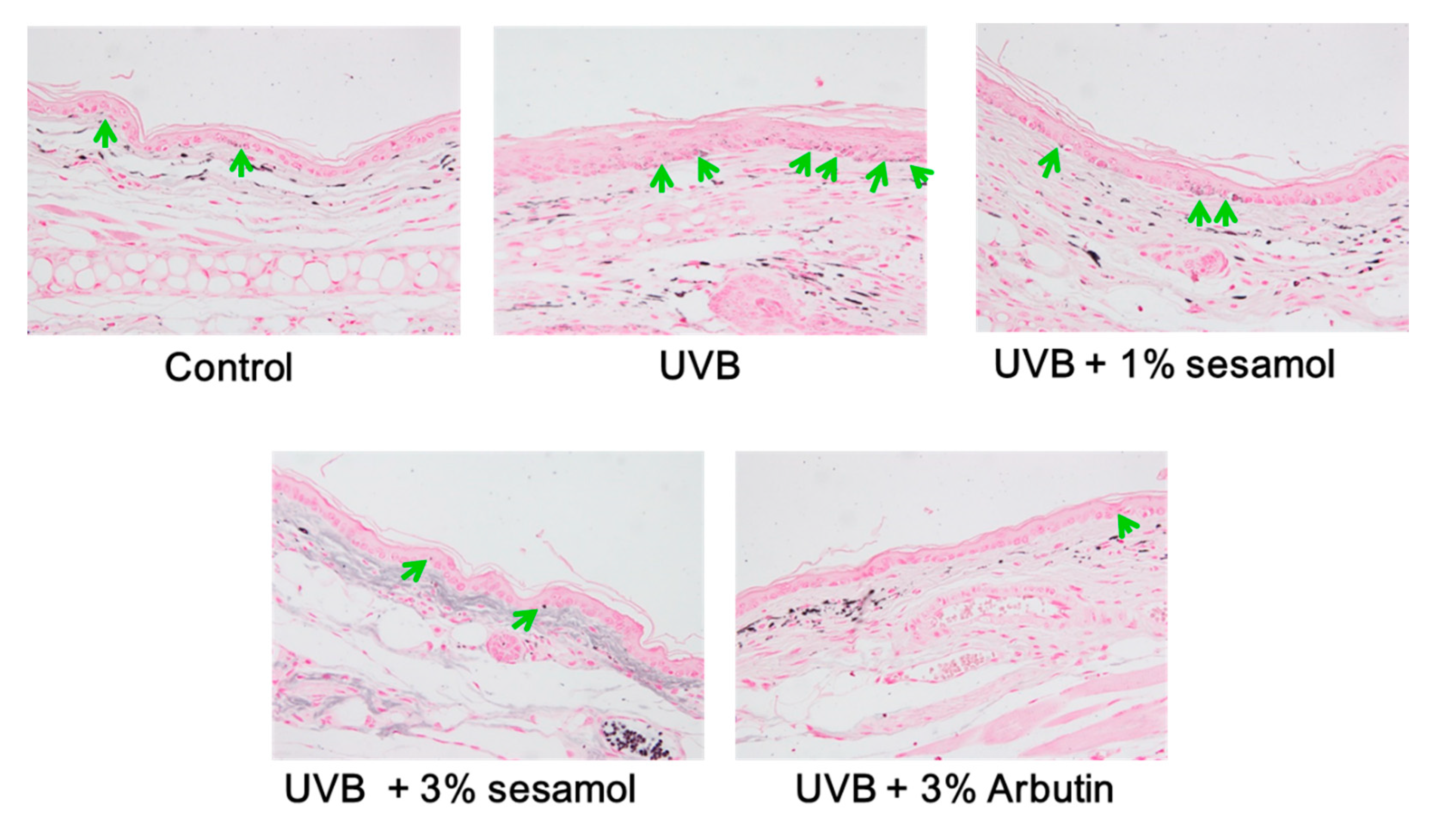 Antioxidants 08 00207 g006a