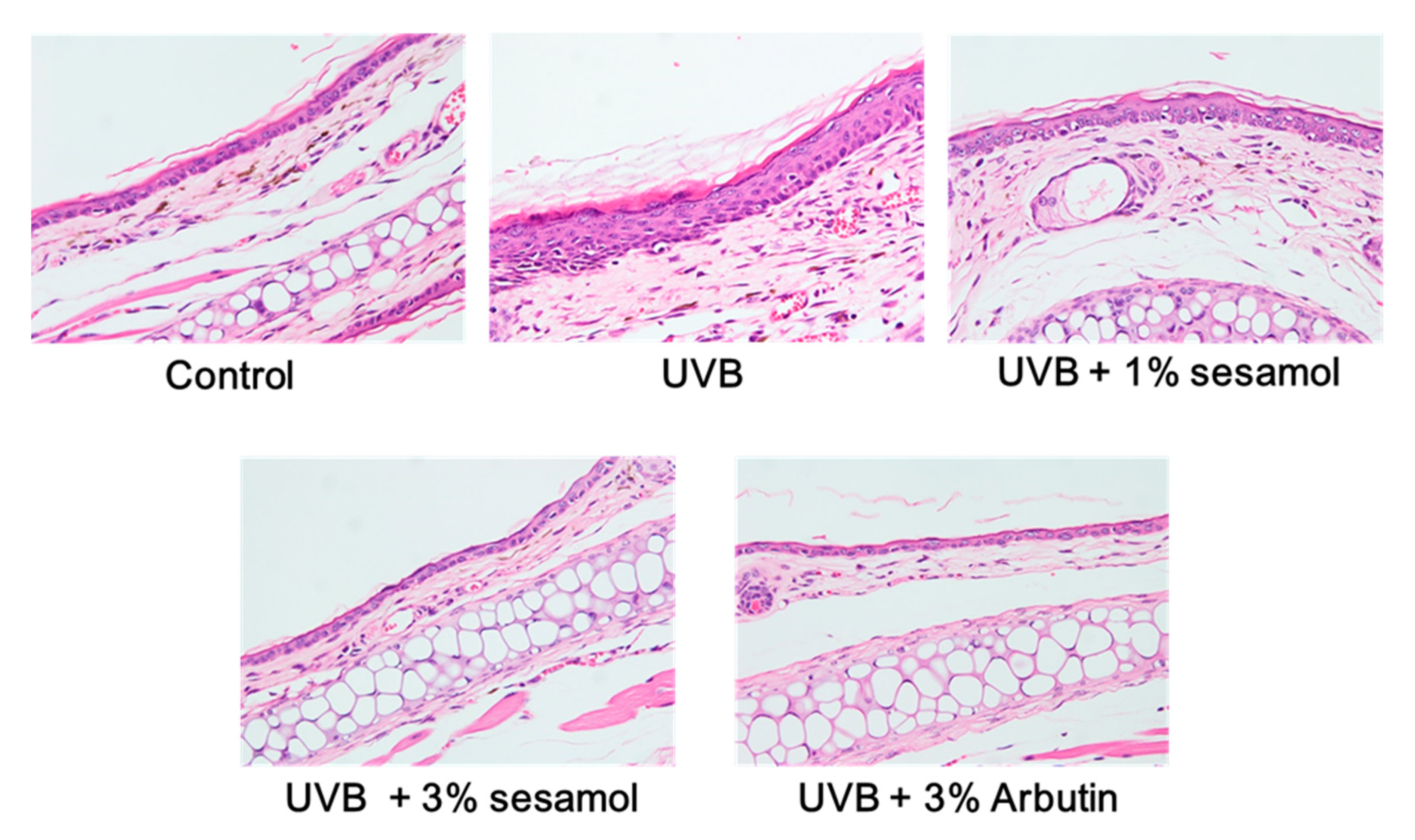 Antioxidants 08 00207 g007a