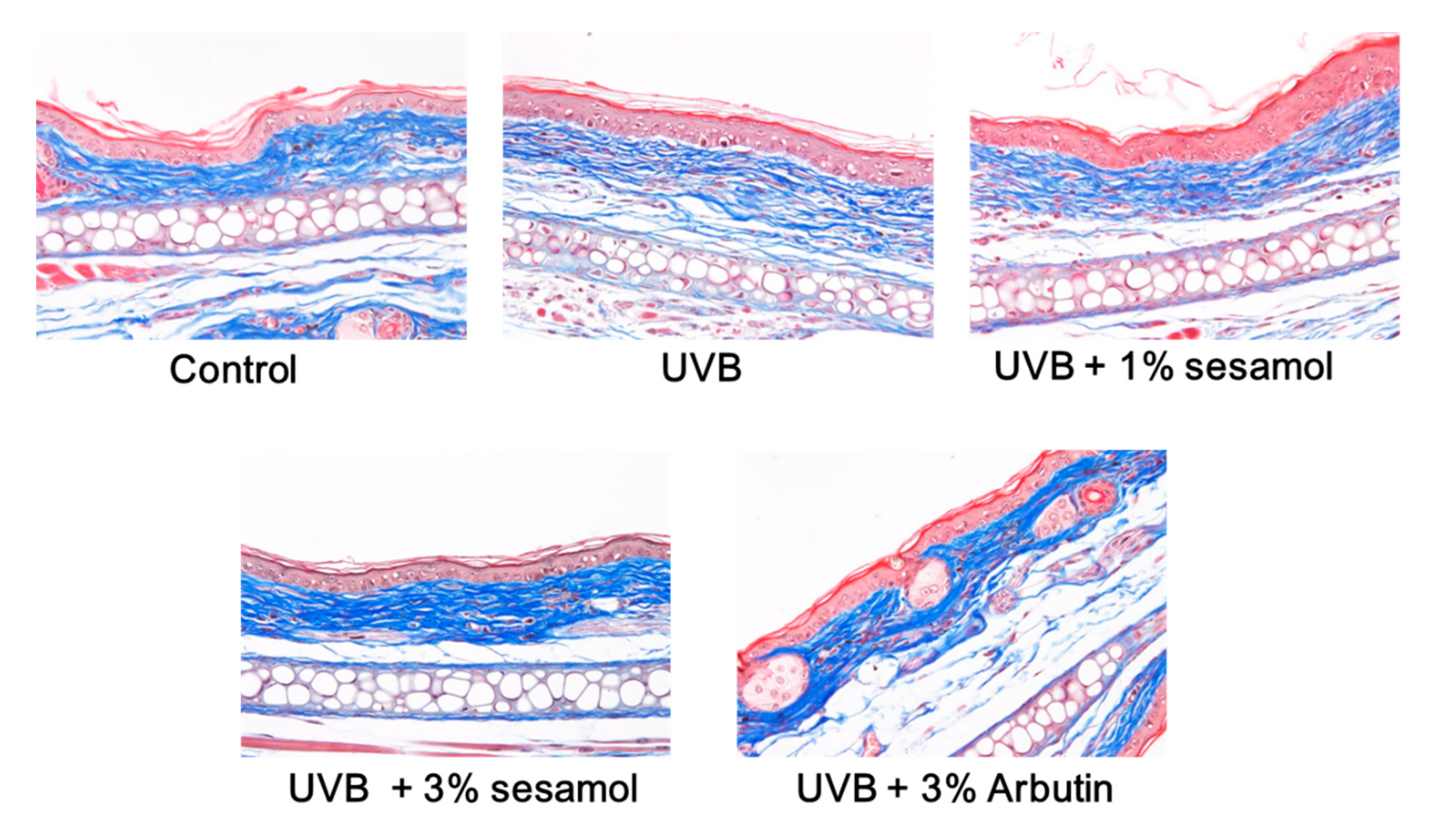 Antioxidants 08 00207 g008a