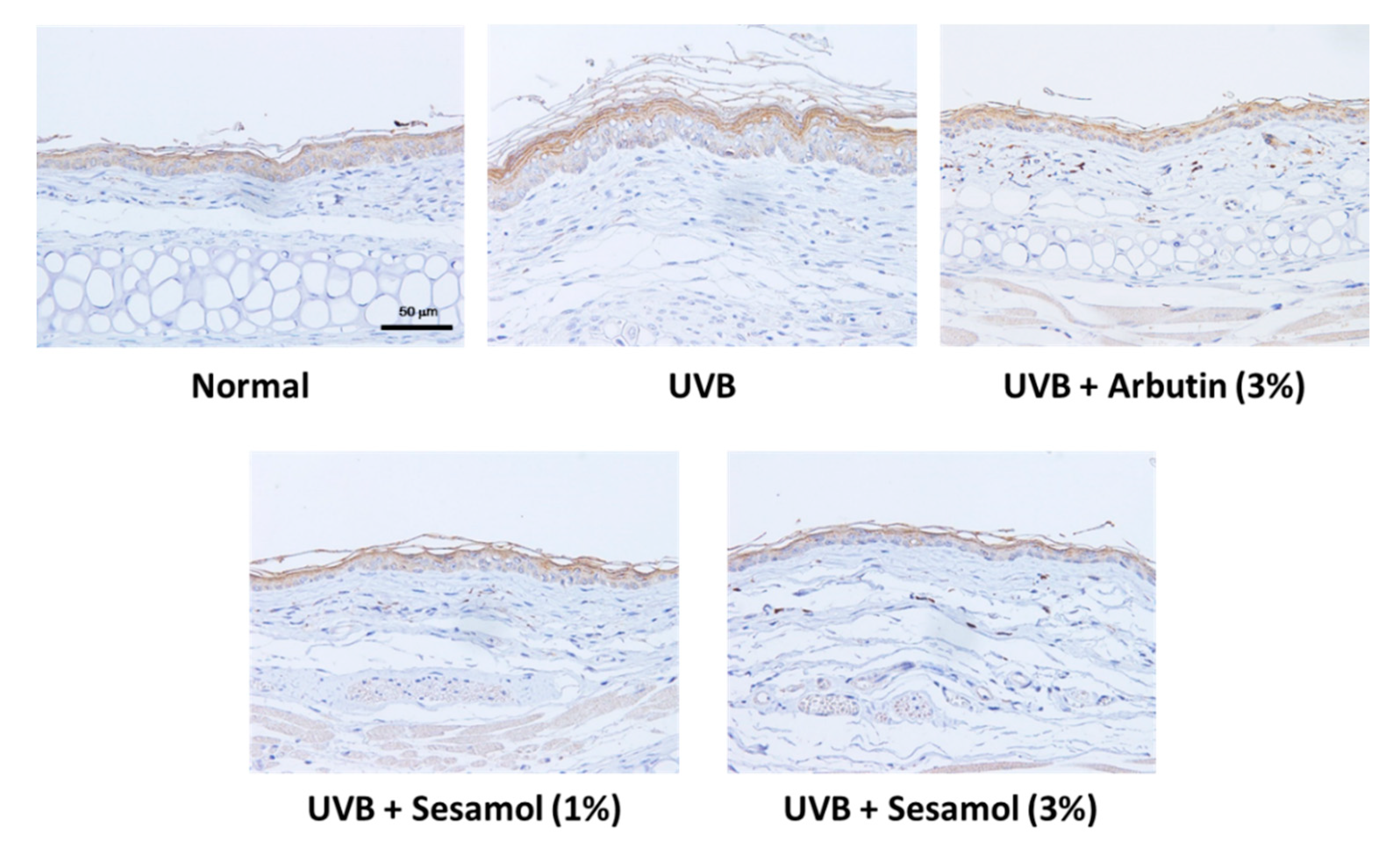 Antioxidants 08 00207 g010a