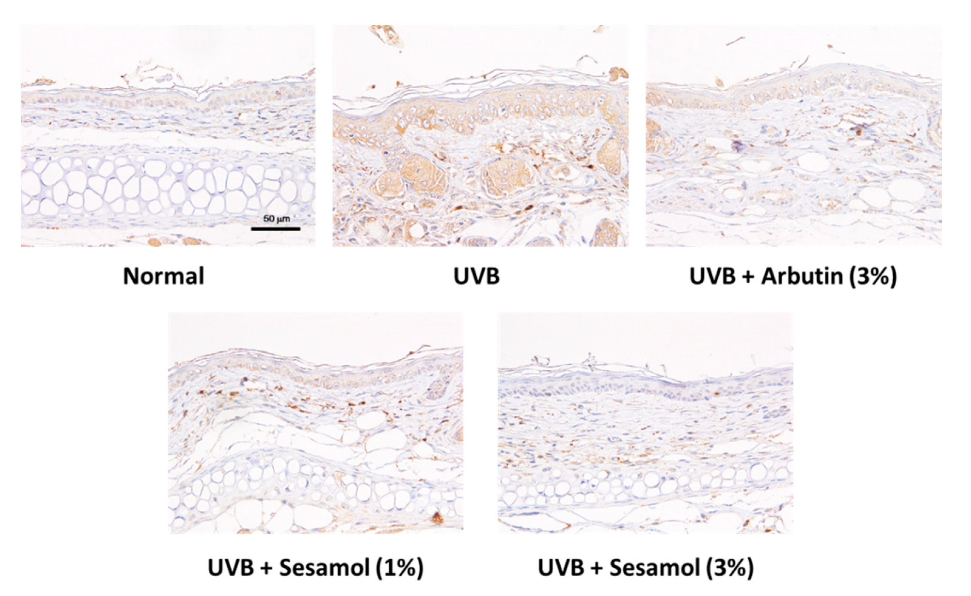 Antioxidants 08 00207 g012a