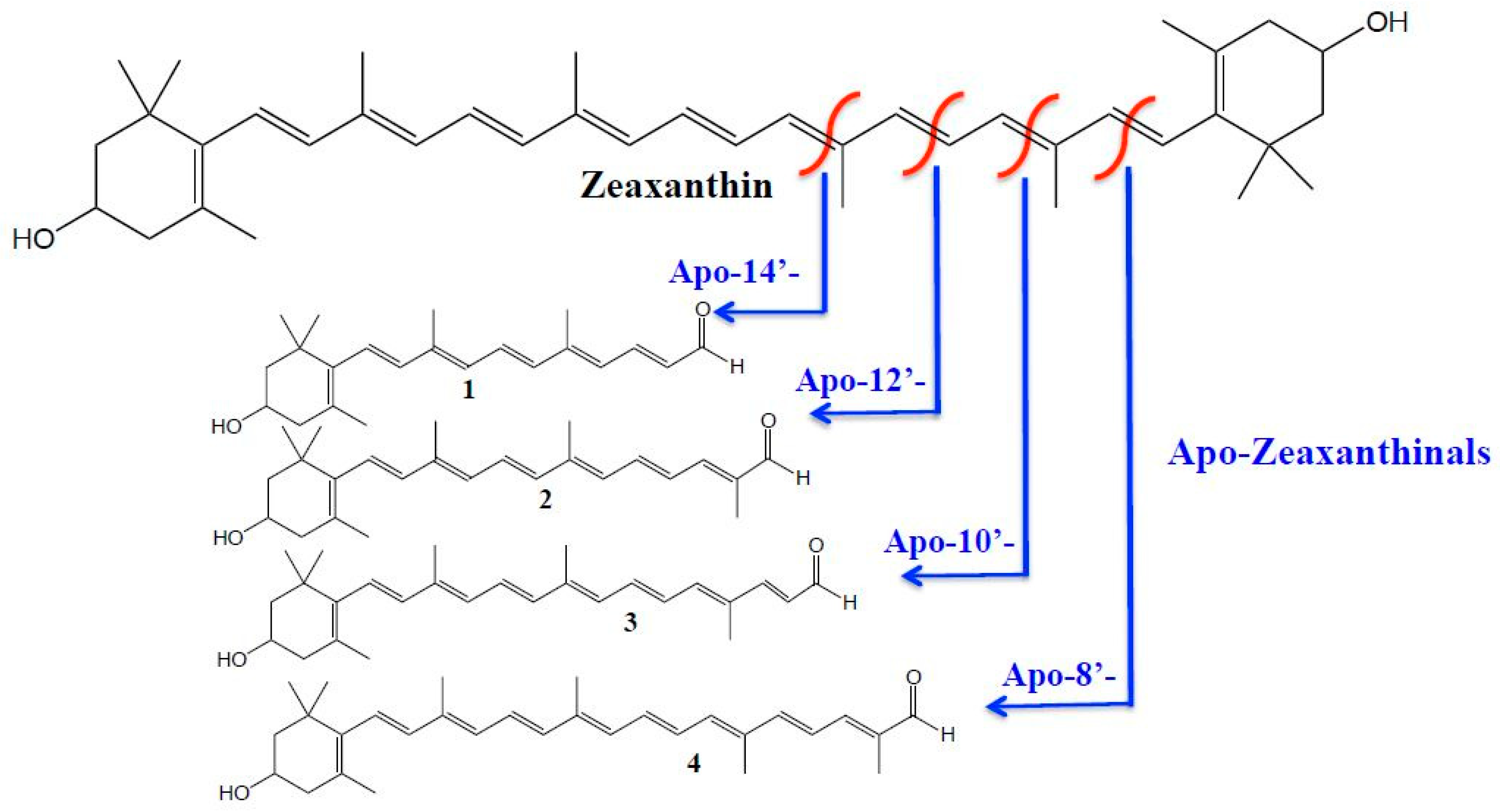 Antioxidants 08 00209 g001 Antioxidants 08 00209 g001